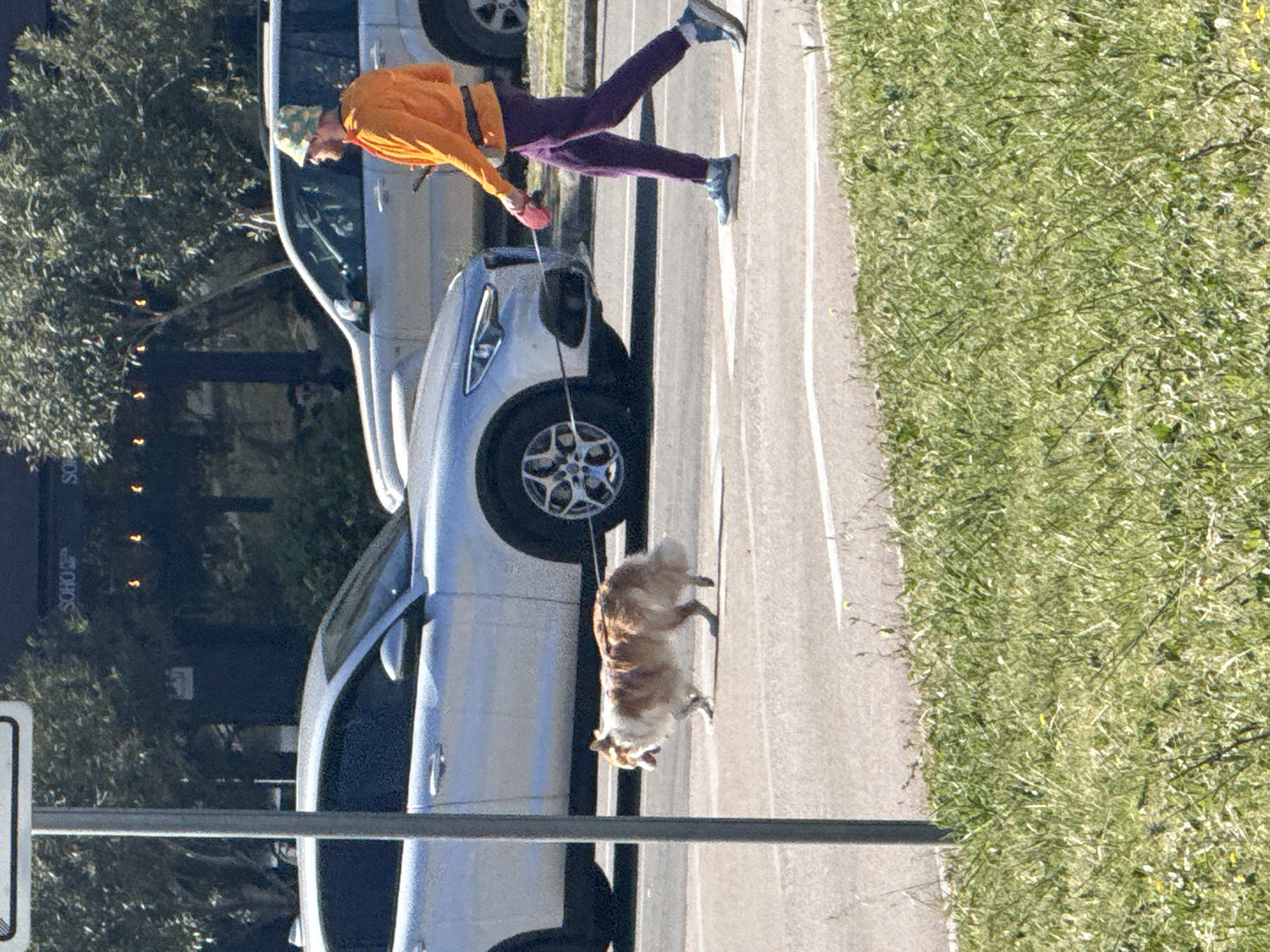 A person wearing an orange shirt, purple pants, and a hat is walking a dog on a leash alongside a road. The dog appears to be a medium-sized breed. There are cars parked on the side of the road next to the person and dog. There is grassy area on the right side of the road. The word "SOHO" is visible on a sign in the background. The location is likely in Bar, Montenegro.