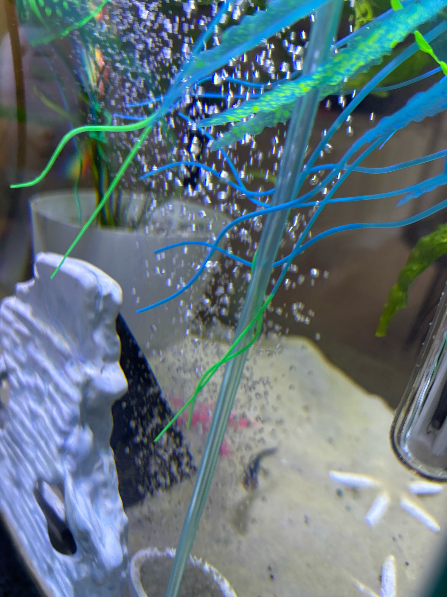 The image depicts an aquarium with various artificial decorations and bubbling water. In the foreground, a white, textured object, possibly a decorative rock or structure, is visible on the left. Green and blue plastic plant-like decorations are suspended in the water, with many small bubbles rising around them. The substrate appears to be sand. In the background, a cylindrical object, likely an air stone or filter tube, is partially submerged. The overall impression is that of a typical home aquarium setup. There is no identifiable information within the image that would allow for its location in the city of Grozny, Russia.