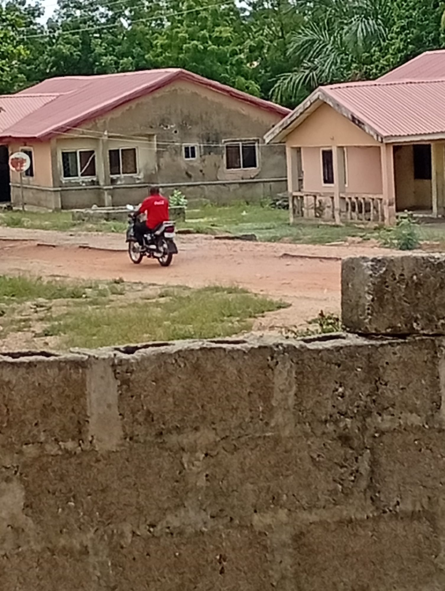 A person wearing a red shirt, with the "Coca-Cola" logo visible on the back, is seen riding a motorcycle away from the viewer on an unpaved, reddish-brown dirt path.
The scene depicts a residential area in Adankolo, Nigeria. In the middle ground, two single-story houses with prominent red corrugated metal roofs are visible. The house on the left has textured, grayish-brown walls and several windows, with a white circular sign marked with red attached to a pole near its front. The house on the right is smaller, painted a lighter beige or peach color, and features a small front porch supported by pillars.
The ground surrounding the path and houses is a mix of reddish-brown earth and patches of green grass and weeds. Lush green trees and foliage form a dense backdrop, suggesting a verdant environment. A low, rough concrete block wall is partially visible in the immediate foreground, framing the bottom of the image. The lighting indicates it is daytime, likely under overcast conditions, as no harsh shadows are apparent. No specific emotions are discernible.