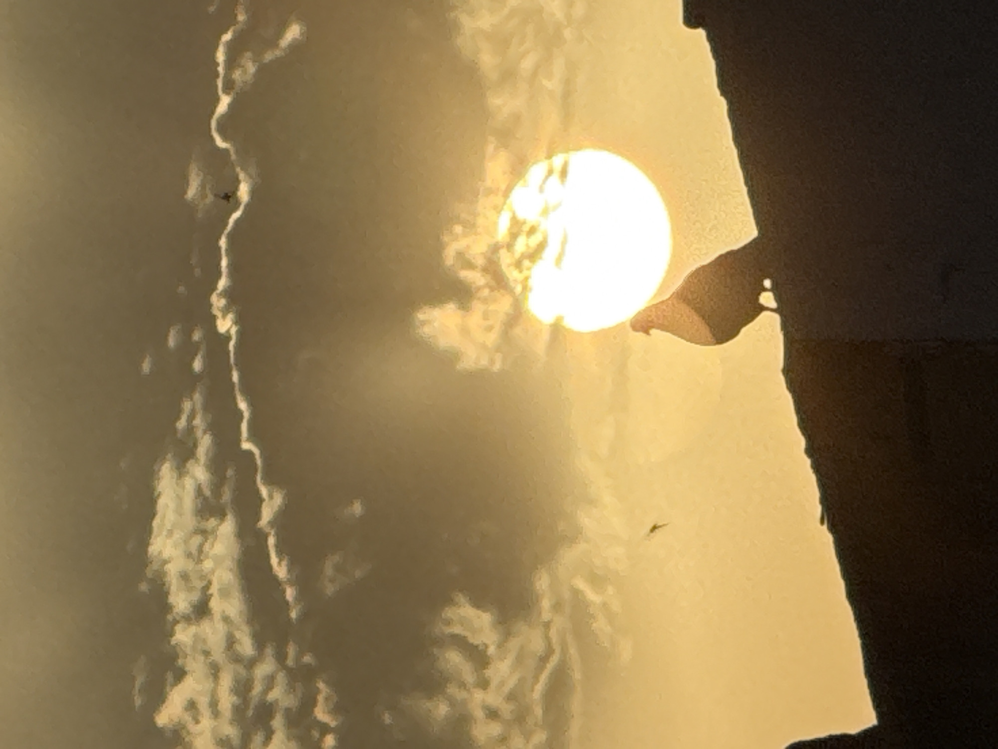 A pigeon is silhouetted on a rooftop with the sun setting behind it. The sun is a bright, glowing orb, and the sky is filled with golden-hued clouds. The rooftop is dark and indistinct, with the pigeon being the only clearly visible subject on it. Several small, dark specks that appear to be other birds are visible in the sky.