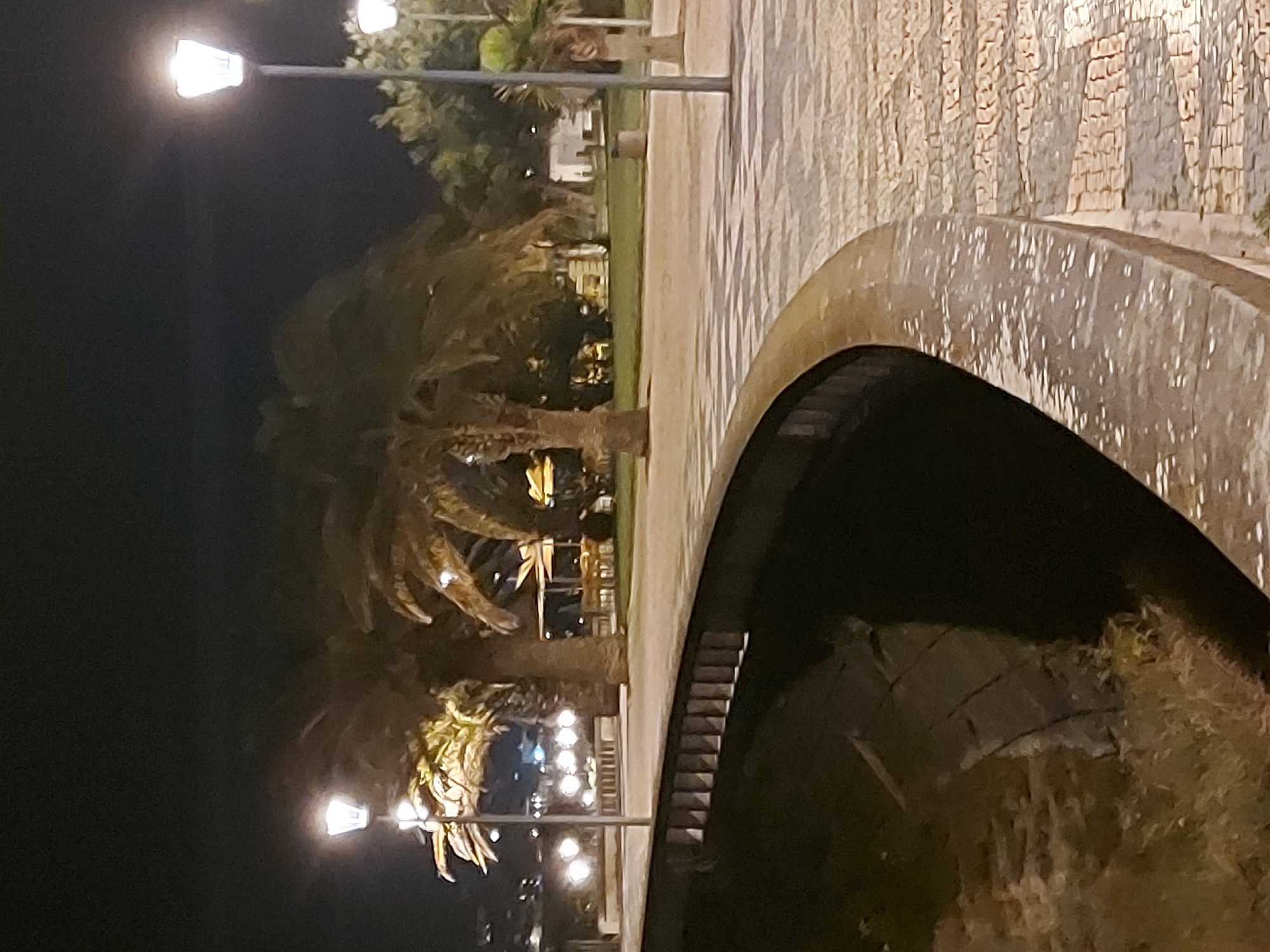 The image depicts a night scene in Figueira da Foz, Portugal, likely near the beach. A stone bridge is visible in the foreground, with the dark water underneath. Palm trees stand beside the bridge, illuminated by streetlights. A path with a patterned cobblestone surface runs along the bridge's edge. In the background, a partially visible structure suggests a building or pavilion, with more lights indicating a populated area. No people are clearly discernible in the scene.