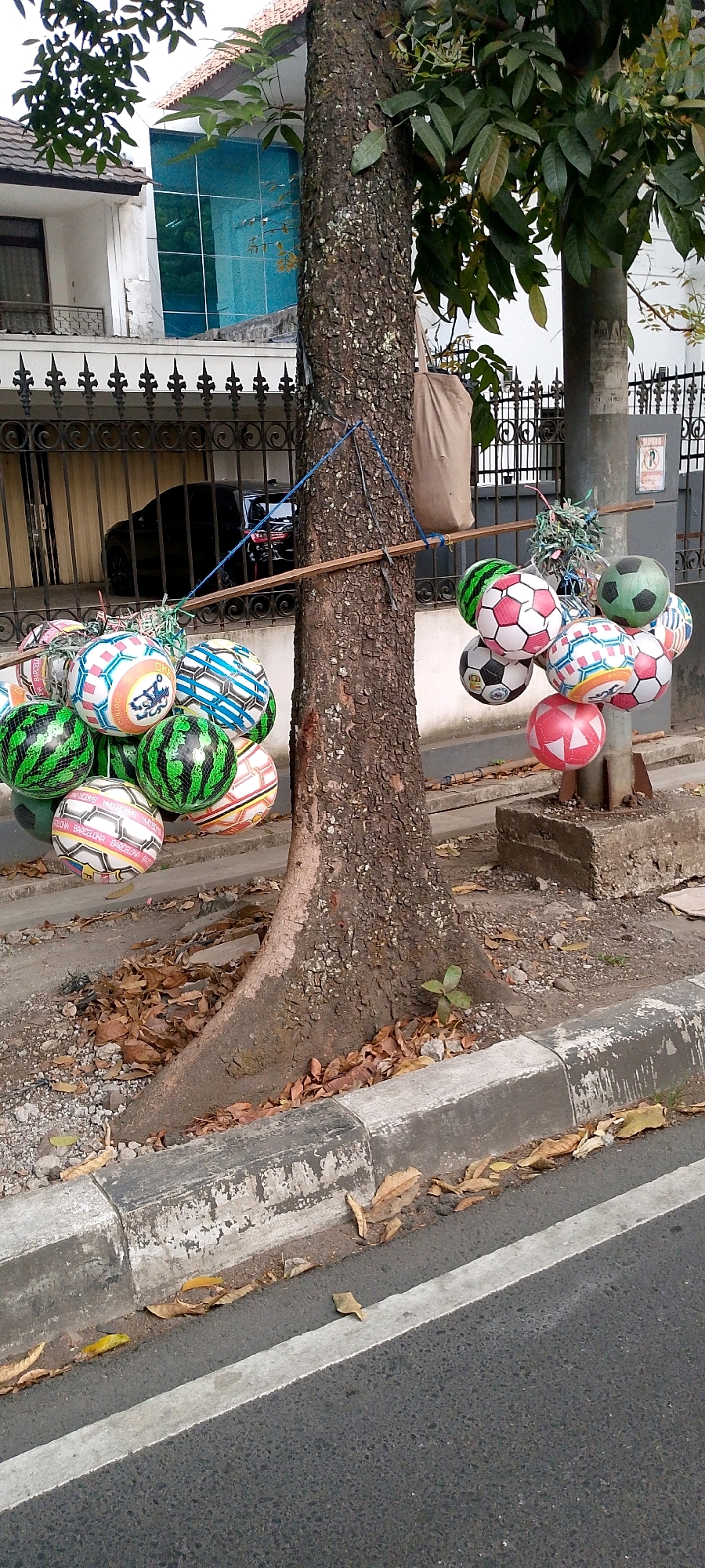 In Bandung City, Indonesia, a street vendor displays an assortment of soccer balls for sale, suspended from a tree and a pole alongside a road. The balls, some designed with traditional pentagon and hexagon patterns in white, black, and pink, others featuring green watermelon-like patterns, and some with "Barcelona" branding, are arranged in clusters. A brown cloth bag hangs from the tree. Behind the display, a black vehicle is visible parked behind a decorative black metal fence. The ground is covered with fallen leaves and gravel. A concrete curb separates the sidewalk from the asphalt road, which has a white line marking. The scene is captured during daytime, under an overcast sky.