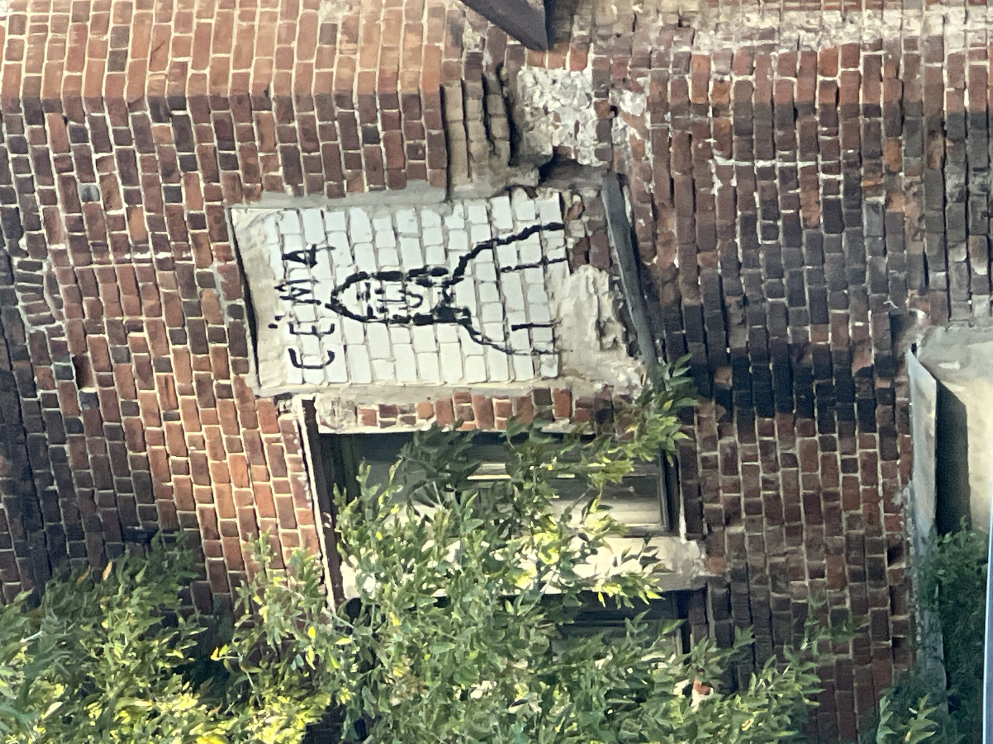 The image captures a weathered brick wall on the exterior of a building in Nizhny Novgorod, Russia. A roughly painted figure with exaggerated facial features and a text reading "CEMA" is visible on a section of white material adhered to the brick. The wall itself shows signs of age and damage, with crumbling sections and varying brick colors, suggesting it is part of an older structure. A window is partially obscured by dense green foliage from a tree in the foreground. The overall impression is one of urban decay and street art in a historical setting.