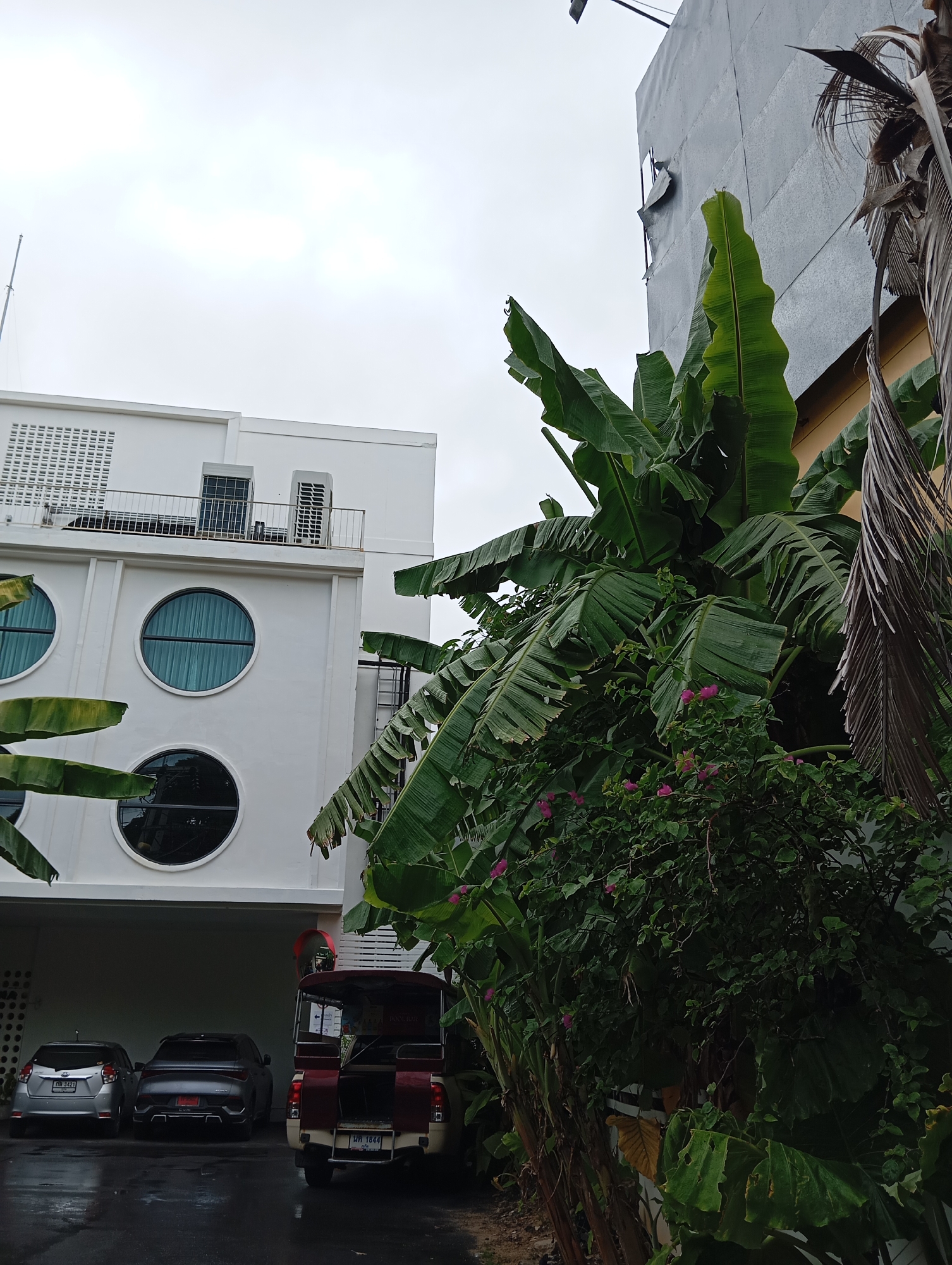 A low-angle, full shot captures a street scene in Karon, Thailand, under an overcast sky. In the foreground, lush green banana plants with large leaves dominate the right side of the frame, interspersed with smaller bushes bearing pink flowers. To the left, a modern white building features a row of square ventilation grilles on the top floor and three large, circular windows with dark blue curtains on the second and third floors. Two air conditioning units are visible on the rooftop. Below the building, a covered parking area shelters two cars: a silver hatchback on the left and a dark grey sedan on the right. A red and cream-colored tuk-tuk, a three-wheeled motor vehicle, is parked to the right of the cars, its rear open. The ground appears wet, suggesting recent rain. In the background, a tall, dark grey building rises on the right, partially obscured by the vegetation and the white building.