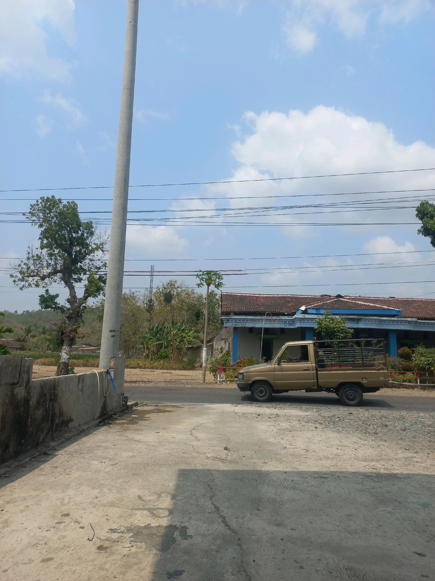 A medium shot captures a gold pickup truck driving along a paved road in Baturetno, Indonesia, under a partly cloudy sky. The truck is seen from its left side, with the driver in the cab. The bed of the truck is filled with green foliage. To the left of the road is a concrete wall and a large, gnarled tree with sparse green leaves. Beyond the tree and the road, a building with a red tile roof and blue trim is visible, surrounded by vegetation. Overhead, several black electrical wires stretch across the frame. The ground in the foreground is a weathered concrete surface.