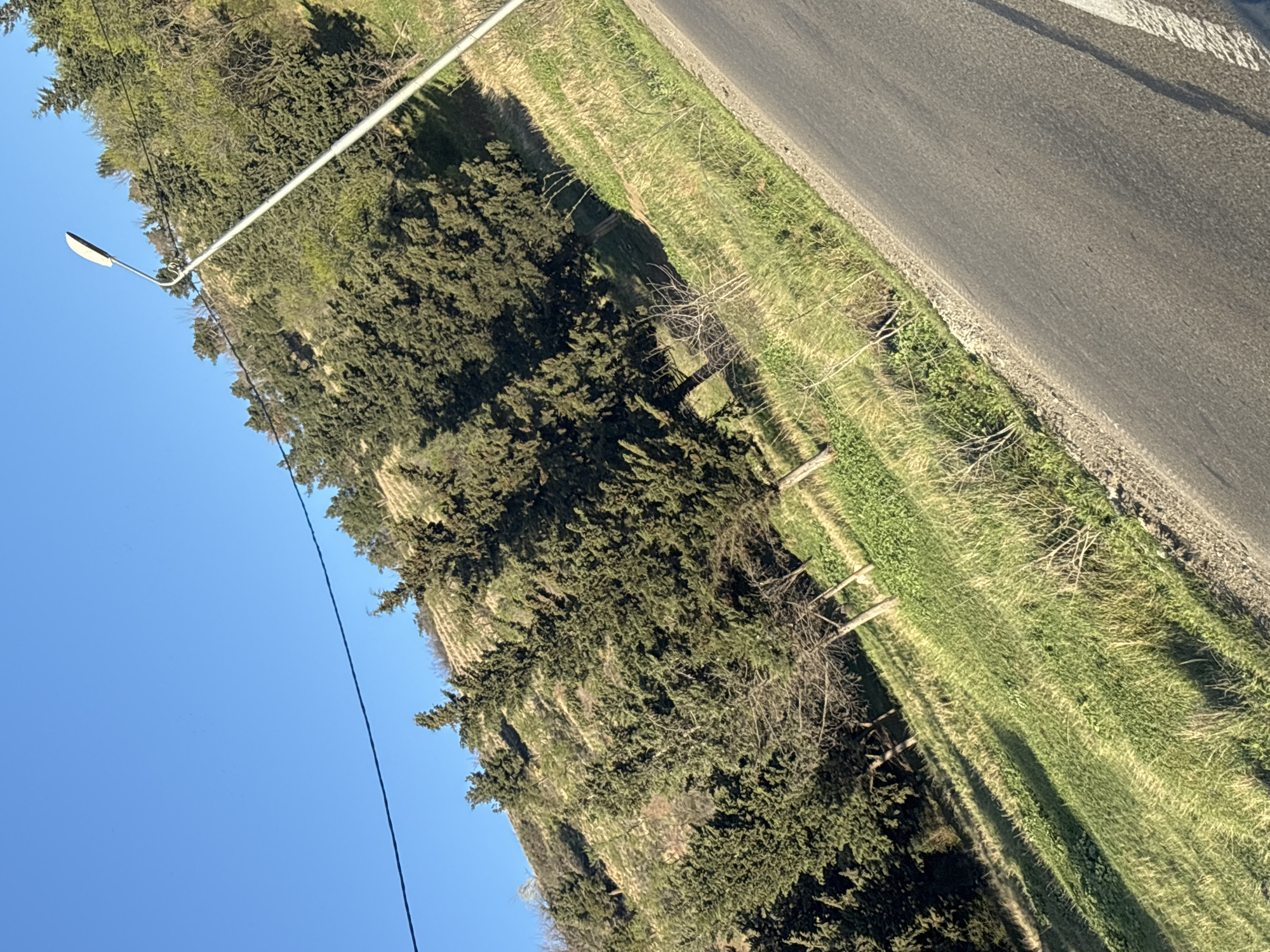 The image depicts a hillside scene near a road, likely in a rural or suburban area. A street lamp is visible in the foreground against a clear blue sky. The hillside is covered in vegetation, including trees and grass. A paved road runs alongside the hillside. The location is Tbilisi, Georgia, cannot be determined from the provided image.