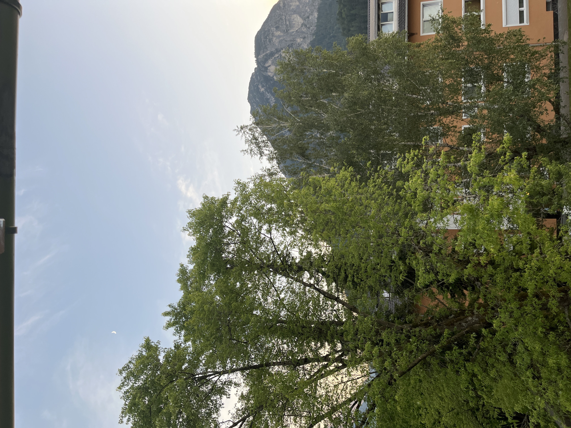 The image captures a view from a building in Garmisch-Partenkirchen, Germany, looking outwards towards a mountain range. In the foreground, lush green trees, some with light-colored bark, dominate the scene, obscuring parts of an orange-colored building with multiple windows. The building appears to be residential or an apartment complex, with white window frames and blinds visible.
Further in the background, a majestic mountain rises, its rocky slopes partially covered by dark green forest. The sky above is a pale blue, with wispy clouds and a crescent moon faintly visible in the upper left quadrant. The overall lighting suggests either early morning or late evening. No people are visible in the frame.