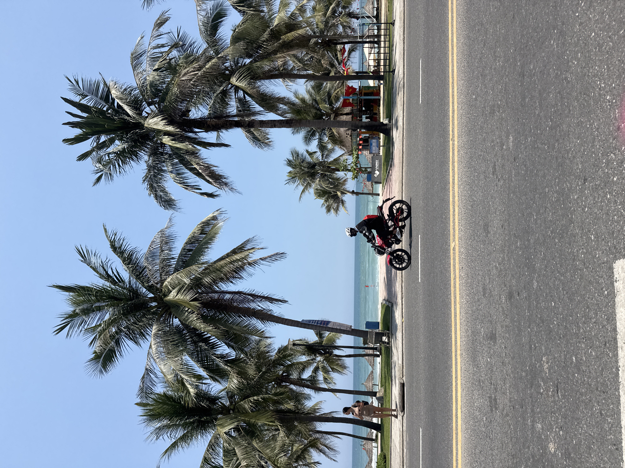 The image depicts a coastal road in Đà Nẵng, Vietnam. Palm trees line the beachside of the road. A person is riding a red motorbike on the road. Another person is walking along the sidewalk. The sea and beach are visible beyond the trees. The sky is clear and blue.