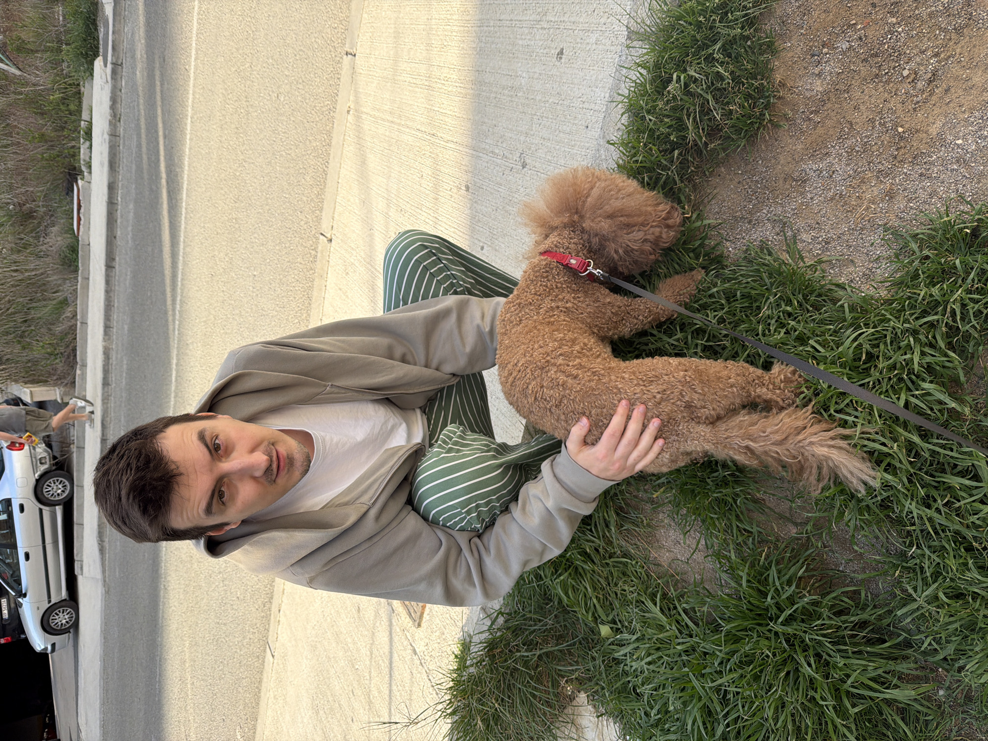 A man with dark hair, wearing a light gray hoodie and striped green pants, is kneeling next to a brown poodle on a grassy patch in Boreti, Montenegro. The dog is lying on the grass, restrained by a black leash and red collar. A sidewalk and asphalt road are visible in the background, with a silver car parked along the roadside. The scene is outdoors, likely during daytime.
