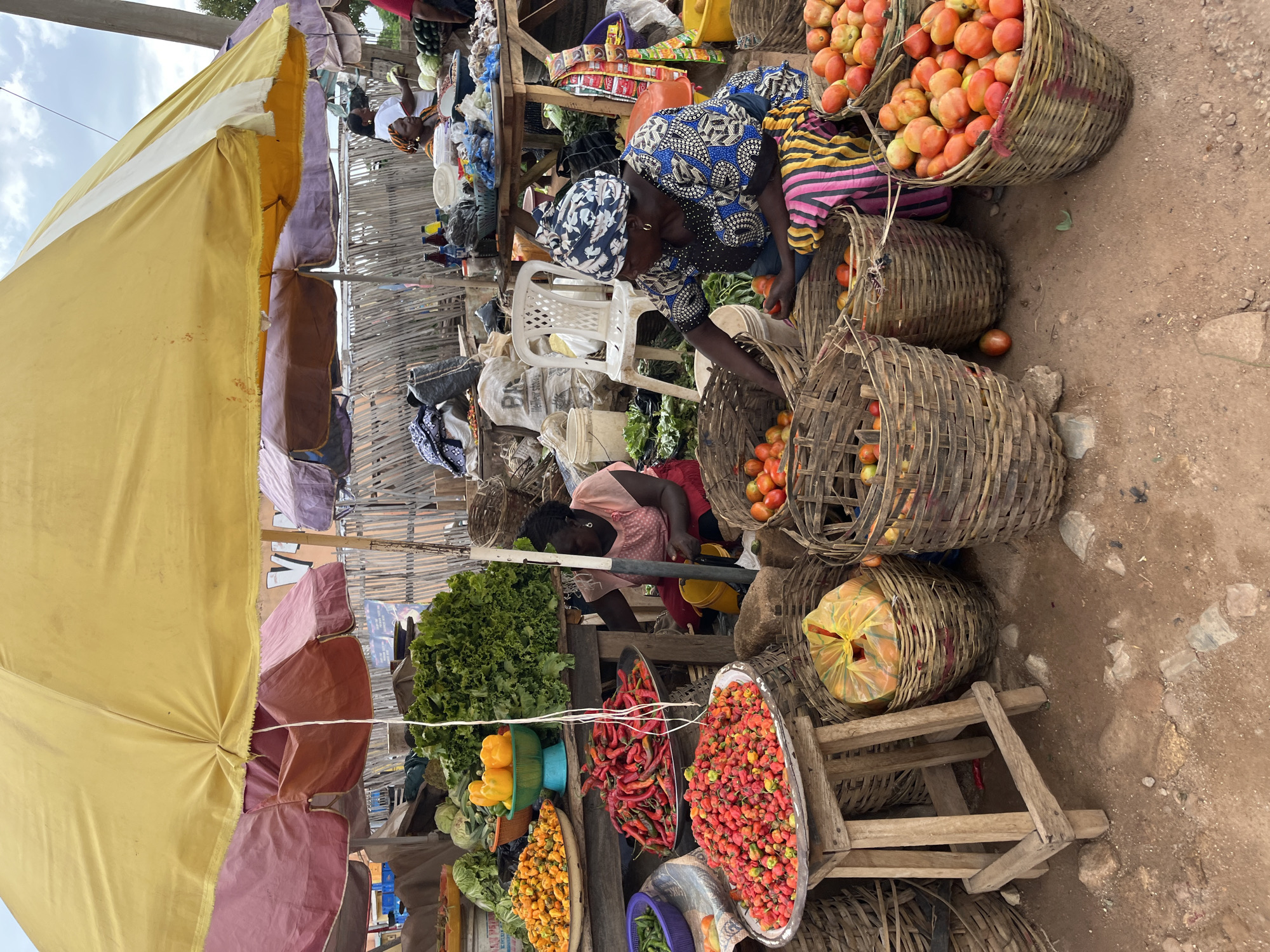 This image captures an outdoor market scene in Jos, Nigeria, under daylight conditions. The foreground and midground are dominated by produce stalls, primarily featuring fresh vegetables and fruits.
Underneath a large yellow market umbrella, several individuals are present, engaged in commerce. In the midground, a woman wearing a blue and white patterned headwrap and a matching long-sleeved top is seated on the ground, actively arranging red and orange tomatoes into numerous woven bamboo baskets. To her left, another woman in a pink short-sleeved top and red skirt is seated behind a wooden table, partially obscured, near large quantities of peppers and lettuce. Further in the background, other individuals are visible tending to their stalls, including one woman in a white top.
The ground is composed of reddish-brown earth with scattered small rocks and debris. Numerous woven baskets, varying in size, are positioned on the ground and on wooden tables, serving as containers for various produce. Prominently displayed are large quantities of red round peppers (likely scotch bonnets or similar local varieties) on a metal tray, long red chili peppers on another tray, and bright yellow bell peppers in a green bowl. Abundant green lettuce and cabbages are also visible on a wooden table. Multiple baskets full of tomatoes, ranging from green-orange to bright red, are scattered across the foreground and midground.
Other objects include wooden stools, a white plastic chair, various plastic containers, bottles, and bags, suggesting other goods or personal items. A rudimentary fence constructed from vertical wooden poles forms part of the background, beyond which a cloudy sky is visible. The scene is illuminated by natural light, with the umbrella providing shade over the central market activities.