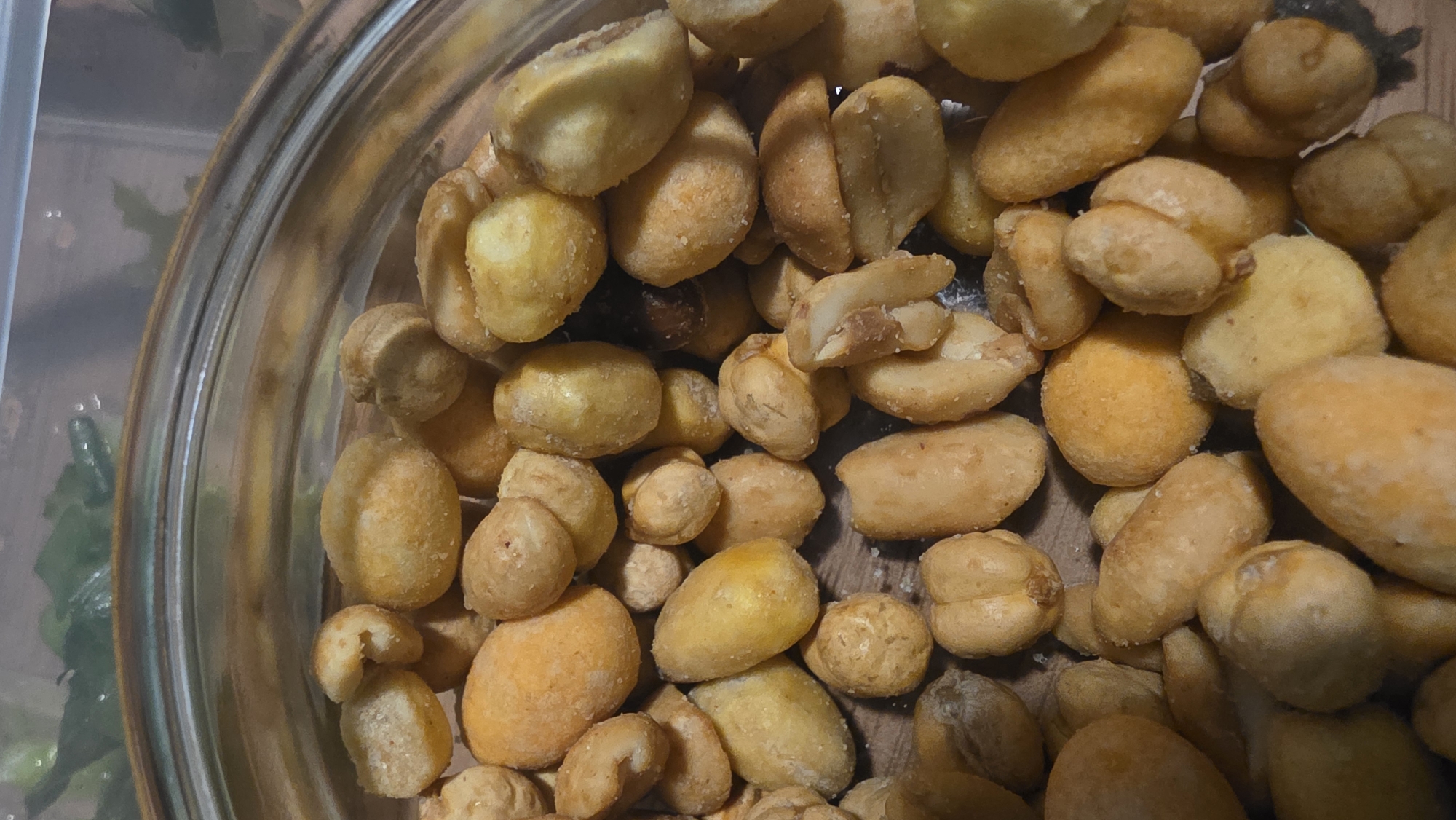 A close-up, high-angle shot shows a clear glass container filled with roasted peanuts. The peanuts are mostly whole, with some split in half, and have a light golden-brown coating. The container is positioned on a wooden surface. The background is partially visible, showing some green vegetation and a hint of the room's interior. The image does not contain enough information to ascertain that it was taken in Blagoevgrad, Bulgaria.