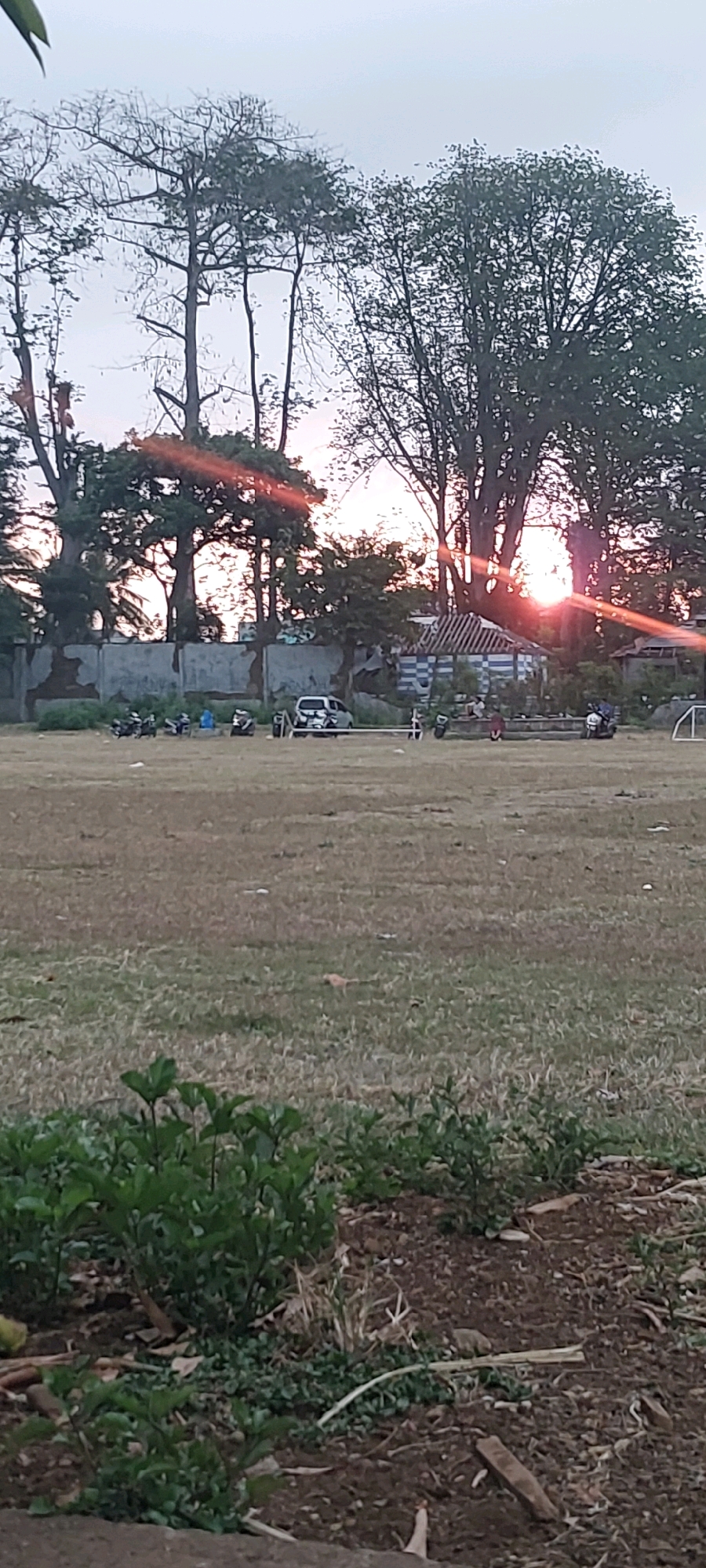 The image depicts an outdoor scene in Keling, Indonesia, likely during a late afternoon or early evening. The foreground is dominated by dry, yellowish grass and some low-lying green bushes. In the midground, there is a large, flat, dry grassy field with scattered patches of brown. A line of motorcycles and a white car are parked along a low concrete wall that forms a boundary. Behind the wall, several trees, some bare and others leafy, are visible against a hazy sky where the sun is setting, casting a warm glow and visible lens flare through the branches. There are also some simple structures with corrugated roofs visible behind the wall. In the far background, some distant trees and structures are faintly discernible. The overall impression is a relatively open, possibly recreational area, with some evidence of human activity in the form of parked vehicles and people scattered around the vehicles.