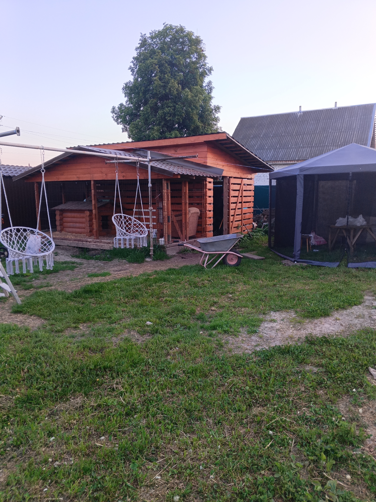 The image shows a backyard scene, possibly in a rural or suburban area. A wooden shed with an attached metal roof and hanging chairs is prominent on the left side of the frame. A wheelbarrow sits in front of the shed. In the background, there is a light-colored house with a gray roof and a dark-colored gazebo. The ground is covered with grass and patches of bare dirt. A large tree stands behind the shed. The sky is light blue, suggesting it is either early morning or late evening. There are no people visible in the image.