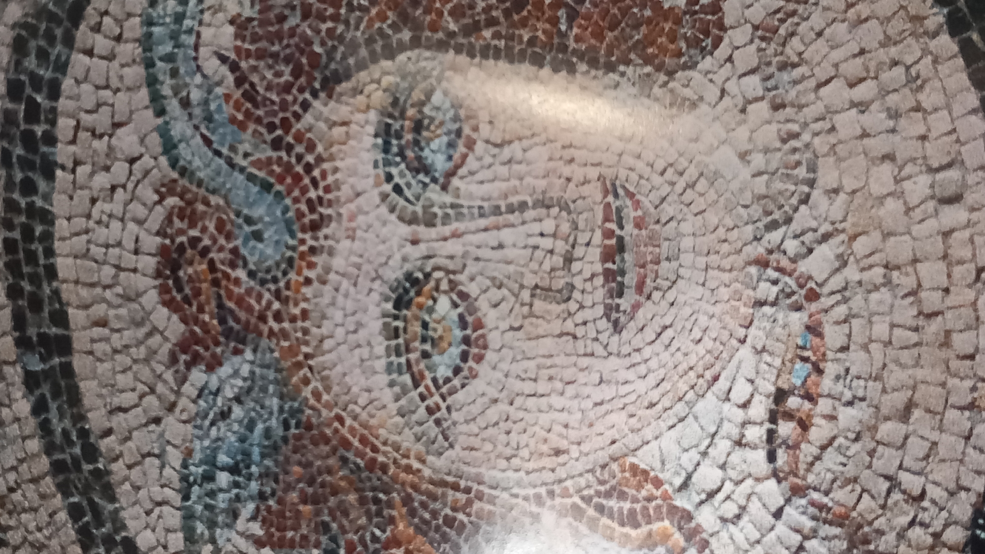 This is a close-up, vertical photograph of a mosaic depicting a female face. The mosaic is composed of small, irregular tesserae in shades of beige, white, brown, black, and some blue and red. The face is rendered in a stylized manner, with large, almond-shaped eyes, a small nose, and full lips. The eyes are detailed with dark pupils and irises that appear to have lighter blue and brown accents. The mouth is slightly open, revealing the suggestion of teeth. The hair is depicted with wavy lines of brown and red tesserae, and a band of blue and black tesserae runs across the top of the head, possibly representing a diadem or headdress. The mosaic is part of an archaeological find in Kos, Greece, specifically from the Casa Romana (Roman House) in the city of Kos.