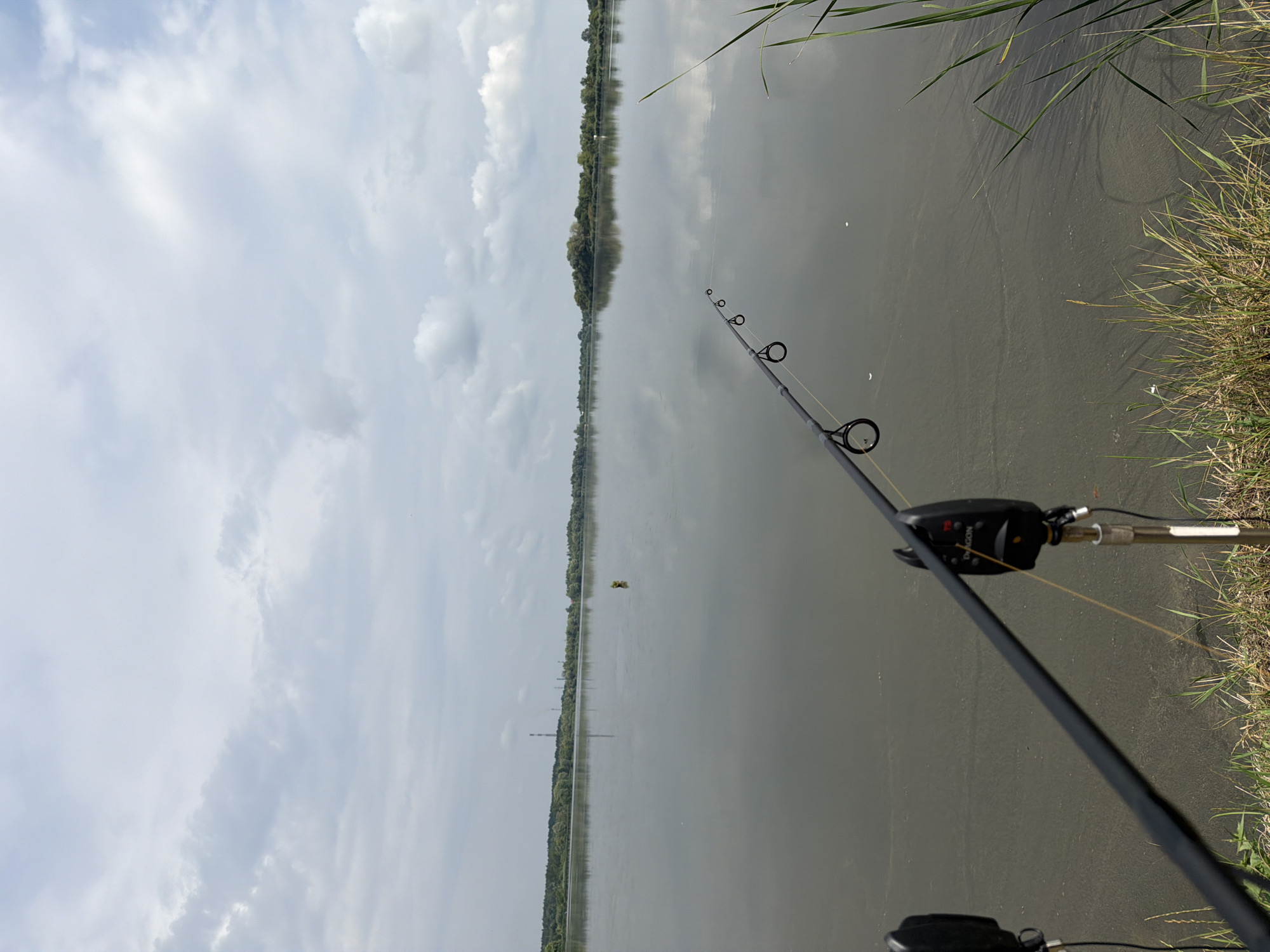 The image depicts a serene riverside scene, likely situated near the city of Ruda, Ukraine. In the foreground, two fishing rods are set up on the bank, equipped with bite alarms to alert the angler to any activity. The rods extend out over the calm, murky water, which reflects the overcast sky. Beyond the water, a treeline borders the opposite bank, with a few industrial structures visible in the distance. The overall impression is one of quiet anticipation, with the focus on the stillness of the natural environment and the readiness of the fishing equipment. The water appears to be a large river or lake, with a gently sloping bank covered in dry grass and reeds. The sky is filled with scattered clouds, creating a diffused light that casts a soft glow over the landscape. There are no people visible in the image, emphasizing the solitude of the fishing spot. The presence of the industrial elements in the background suggests that while the immediate setting is natural, it is not entirely untouched by human activity.