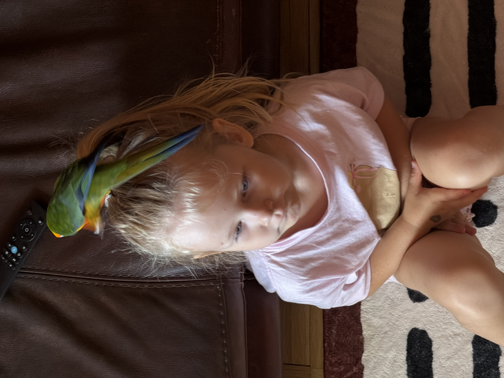 A young girl with blonde hair is lying on a brown leather couch, with a colorful parrot perched on her head. The parrot has green, blue, and yellow feathers. The girl is wearing a pink t-shirt. The scene is indoors, with a striped rug visible in the background. A black remote control is lying on the couch near the girl. The lighting suggests it might be daytime.