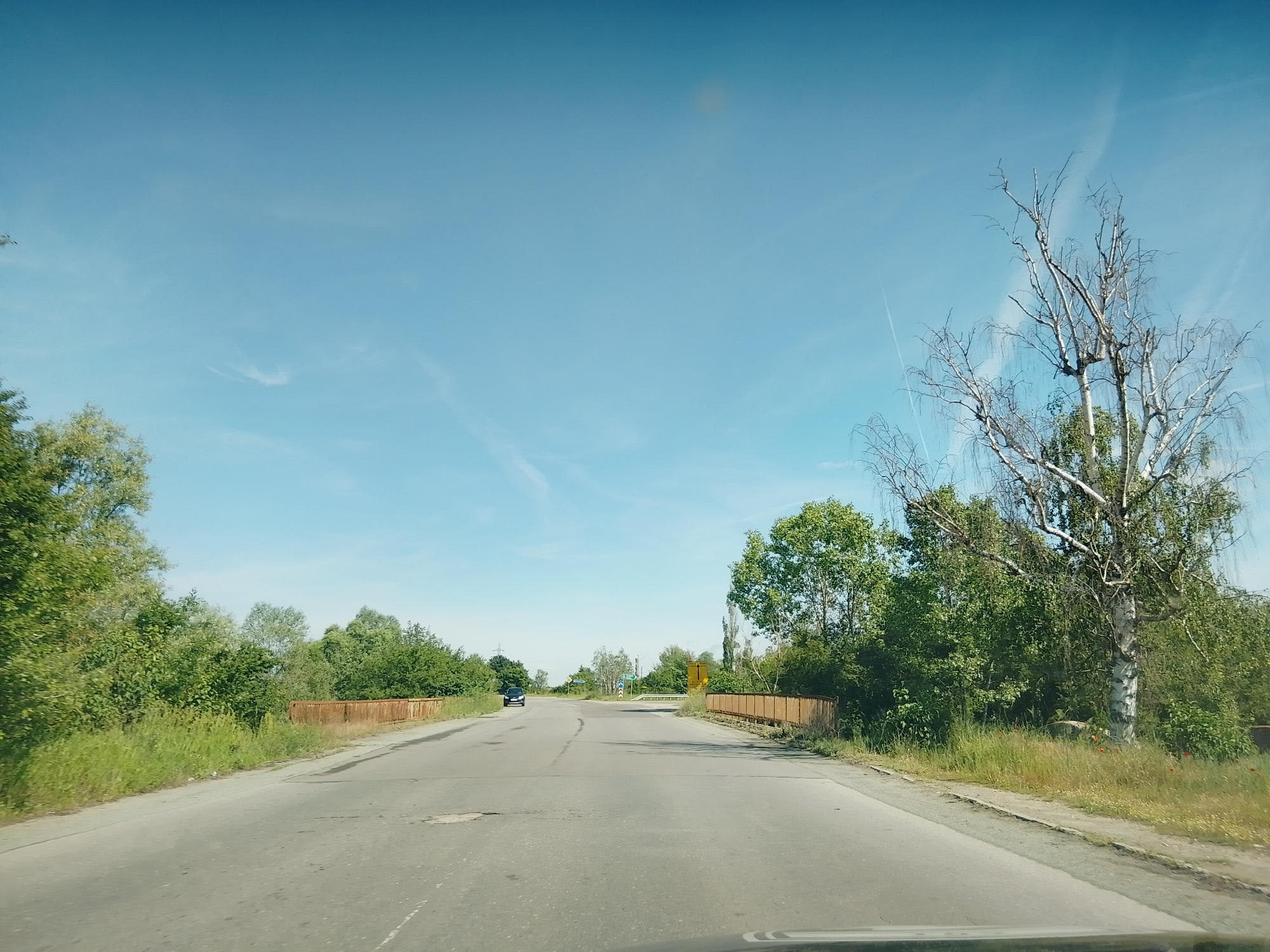 The image captures a first-person perspective from inside a vehicle, looking down a two-lane road on a clear, sunny day. The road, showing some wear and cracks, stretches into the distance, where it appears to curve slightly to the right or meet a junction. On either side of the road, dense green foliage of trees and bushes line the landscape.
Approximately midway down the visible stretch of road, two low, rusty-colored structures, possibly small bridges or culverts, span unseen watercourses or ditches, supporting the road. Beyond these structures, a dark-colored car is visible on the road in the distance. To the far right, a prominent bare-branched tree, possibly a birch due to its light-colored trunk, stands out against the green backdrop, with some green leaves at its base. A few small red flowers are visible in the grassy area beneath this tree.
The sky is a bright, clear blue with a few faint, wispy clouds or contrails. The overall setting suggests a rural or semi-rural environment, possibly on the outskirts of a small settlement, given the presence of the car and distant signs that are too far to read. There is no visible text in the image. The time of day is clearly daytime, characterized by bright sunlight.