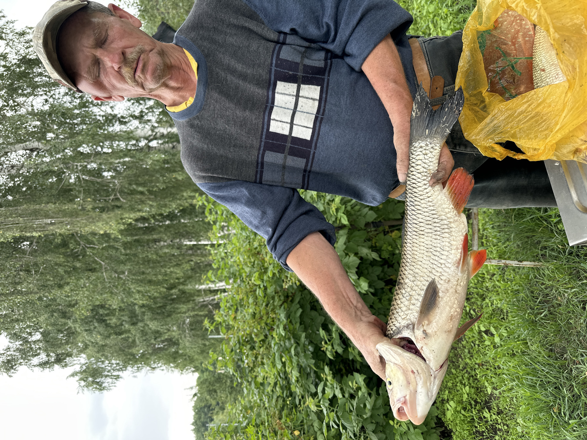 A middle-aged man wearing a cap and a blue and gray sweater stands in an outdoor environment, holding a large, freshly caught fish by its mouth. The fish is silvery with red fins. The man's eyes are closed, and he has a mustache. In the background, lush green foliage and tall trees are visible. To the right of the man, a bright yellow plastic bag contains more fish. The ground is covered with green grass. The scene appears to be in a rural or natural setting, possibly near a body of water, consistent with the location of Верхнее Казачье, Russia, where fishing is a common activity.