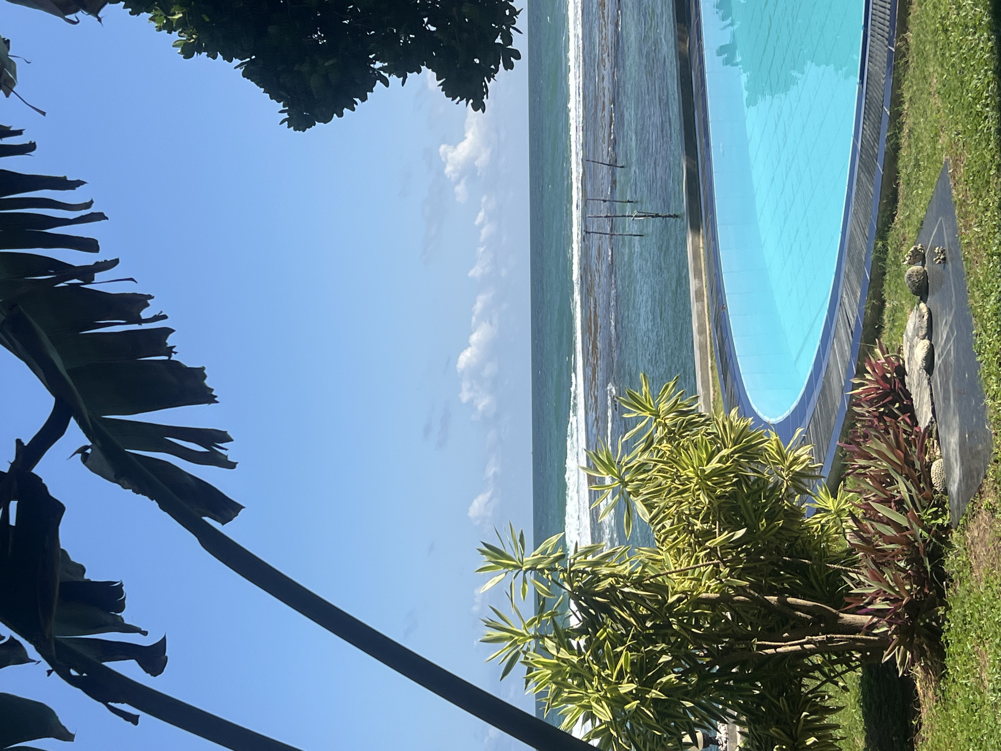 A view of a swimming pool and the ocean is seen from a tropical location in Goviyapana, Sri Lanka. The pool is bright blue and oval-shaped, with a dark tiled edge. It is surrounded by green grass and some exotic plants with green and yellow leaves, as well as some plants with red and green leaves. In the background, the ocean is a deep blue with white waves breaking on a reef. Several wooden poles are visible in the water. The sky is a clear blue with a few white clouds. The image is framed by dark green palm leaves in the foreground, obscuring parts of the sky.