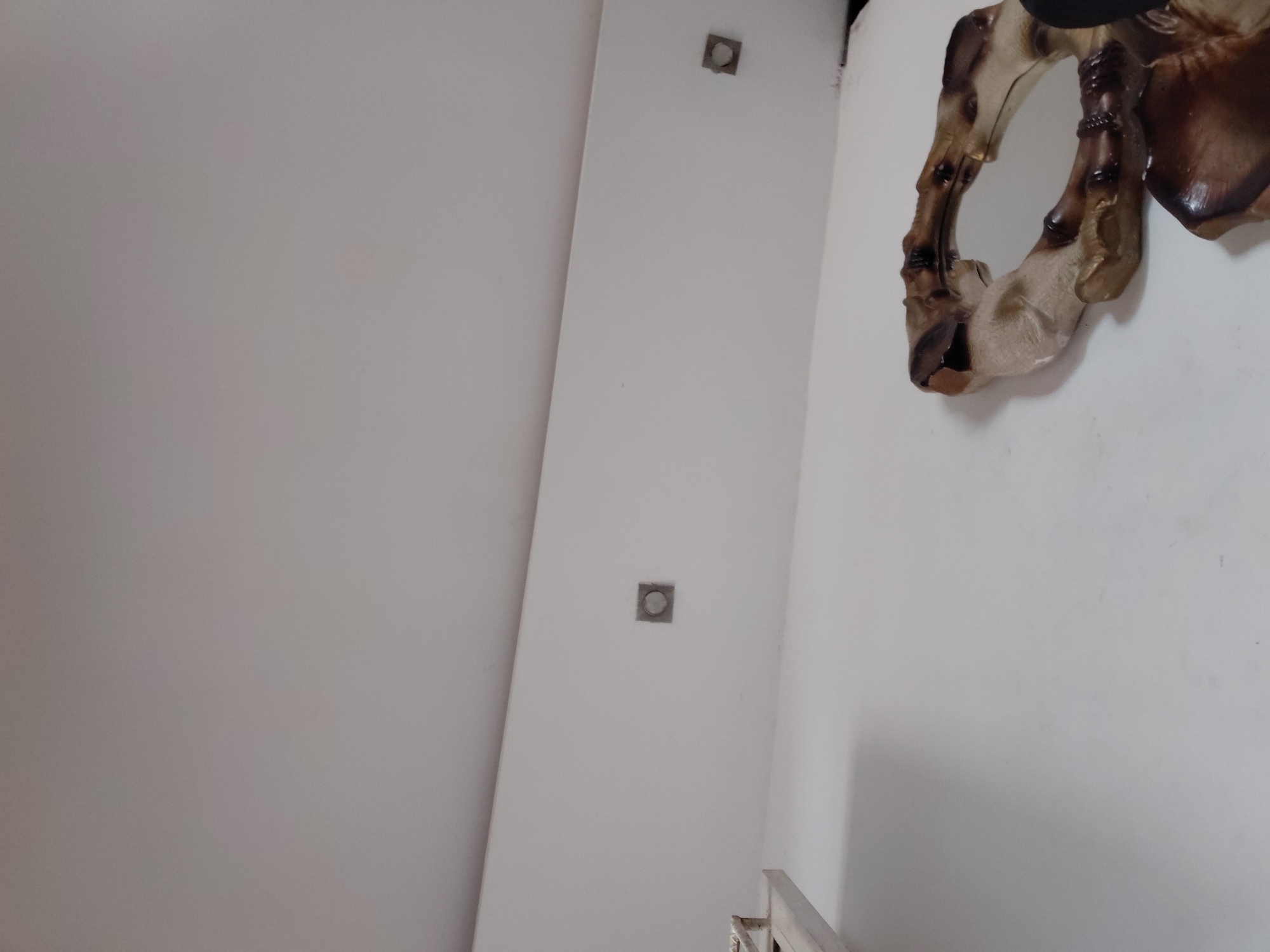 This image captures a static interior scene featuring plain white walls and a few distinct objects, likely taken from an angled or upward perspective within a room or hallway.
On the right side of the frame, a decorative wall hanging or mirror is prominently displayed. This piece has an intricate, organic shape, resembling the head, neck, and possibly fragmented body parts of an animal, such as a horse or camel. It is rendered in shades of dark brown, warm beige, and lighter cream, suggesting it might be made of wood, resin, or a similar material, possibly with a distressed or antique finish. A dark, indistinct object is partially visible above this decoration.
Towards the center of the image, on a narrow vertical section of the white wall, two square-shaped fixtures are mounted. These fixtures appear to be metallic, possibly silver or grey, and each contains a circular element in its center. They are likely modern light fixtures or decorative covers for electrical outlets, positioned one above the other.
The majority of the left side of the image is dominated by an expanse of plain white wall, exhibiting slight variations in shading that indicate the play of light. In the bottom right corner, a small section of a light-colored, possibly wooden, railing or furniture piece can be seen.
No activity is taking place in the image, and no people are present. The lighting is even and diffused, making it impossible to determine the time of day or the weather outside. There are no specific visual cues within the image itself that directly indicate its location as Santa Ana, Venezuela, nor is any text visible. The scene conveys a sense of a clean, minimalist interior adorned with a single, eye-catching decorative element.