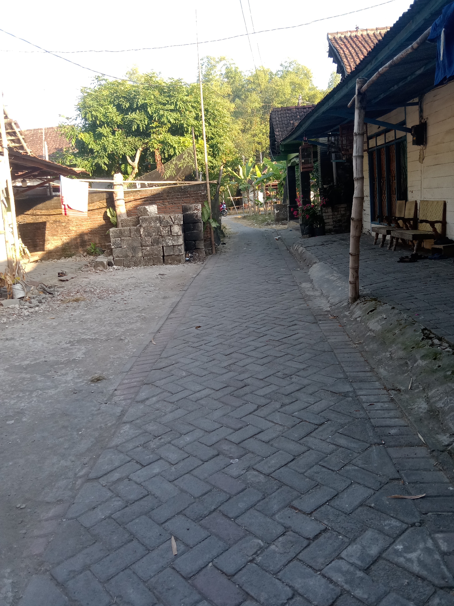 The image depicts a narrow, paved alleyway in a residential area. The alleyway is constructed with dark grey interlocking pavers arranged in a herringbone pattern. On the right side of the alley, a light-colored wooden house with a dark tiled roof and a covered porch is visible. A bamboo pole stands near the house, and there are two wooden benches on the porch. The house appears to be slightly dilapidated, with visible wires and a mounted electrical box on the exterior wall. Bird cages are hanging from the porch roof. On the left side of the alley, there is a brick wall and a pile of grey building blocks. A white cloth is hanging on a clothesline stretched between bamboo poles. A small tree with dense green foliage is located behind the brick wall. In the distance, more trees and vegetation are visible, along with the roofs of other houses. The scene is illuminated by natural sunlight, casting shadows on the ground. A person riding a motorcycle is faintly visible in the background at the end of the alley. The overall impression is of a simple, possibly rural or semi-urban, residential street.