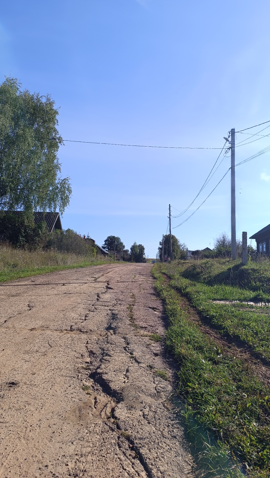 A low-angle, eye-level shot depicts a cracked dirt road winding through a rural area on a clear day. The road, textured with numerous fissures and uneven patches, is flanked by overgrown green grass and weeds. In the background, several houses with dark roofs are visible amidst trees and foliage. Telephone poles with wires are spaced along the right side of the road, indicating the presence of utilities. The sky is a vast expanse of pale blue. No people or animals are present in the frame. The overall impression is of a remote, unpaved road in a village setting. The location is the city of Karsha, Russia.