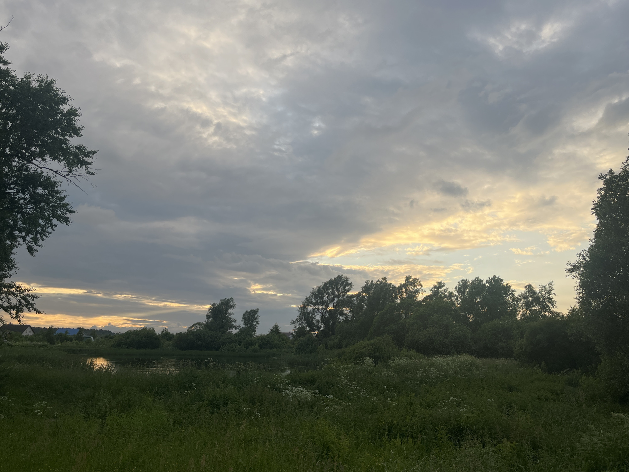 The image depicts a natural landscape scene at dusk, likely in the vicinity of Nikolskoye, Russia. The foreground is dominated by tall green grass and wildflowers, transitioning into a body of water. Beyond the water, a dense line of trees forms the horizon, with some buildings, possibly houses, visible in the far left distance. The sky above is filled with dramatic, striated clouds, with a warm glow of sunlight breaking through on the right side, suggesting either sunrise or sunset. There are no people or animals visible in the image.