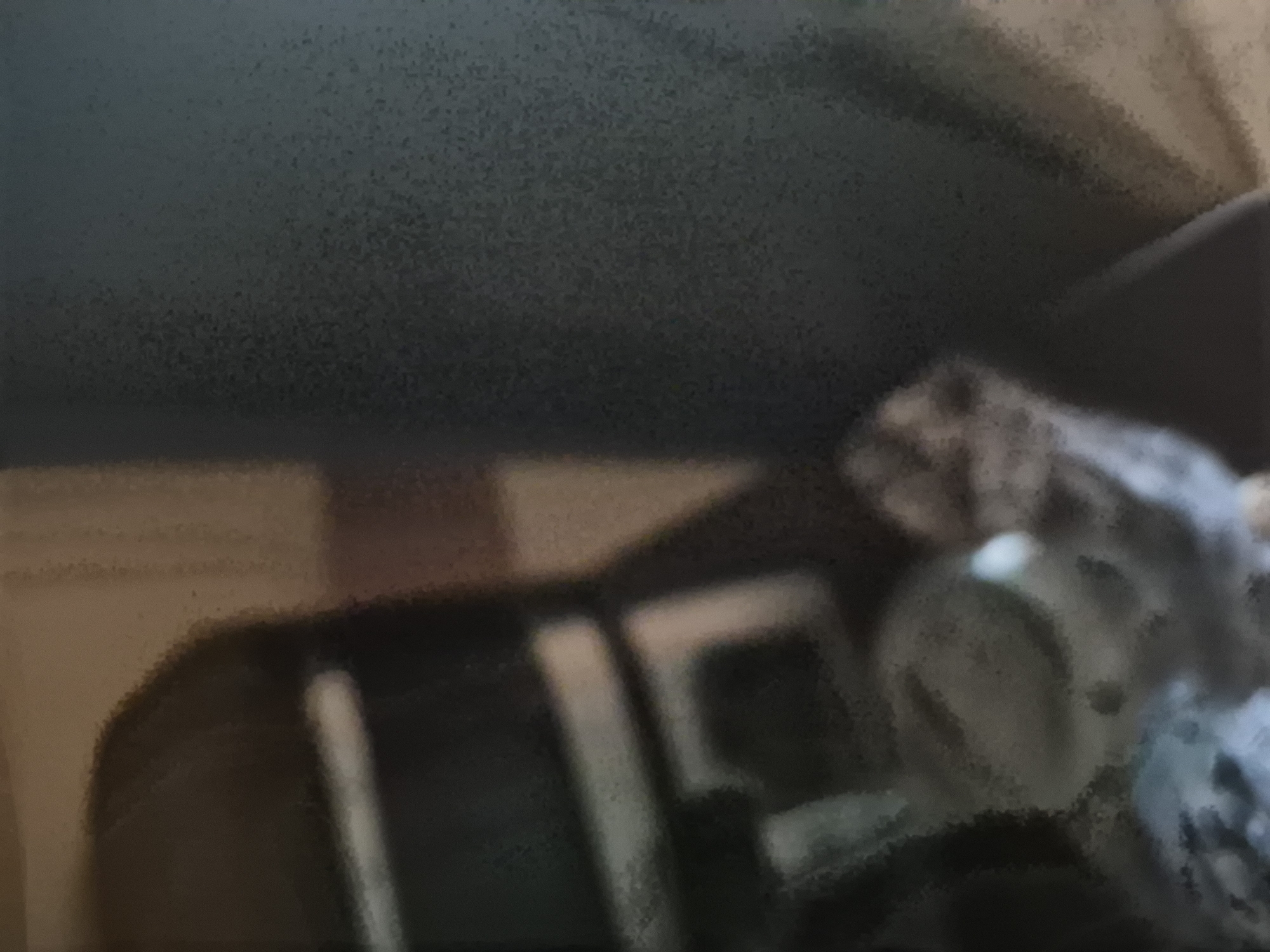 This highly blurry and grainy image depicts an indoor scene, likely within a residence in Yerevan, Armenia. The poor image quality, characterized by significant visual noise and lack of sharp focus, suggests it was captured in very low light conditions.
In the foreground, towards the right side of the frame, an indistinct, light-colored object appears to be a resting animal, possibly a domestic cat or small dog, with faintly visible patterned fur. A closer inspection reveals what might be a rounded head or face.
Central to the image and extending towards the left, there is a dark object featuring prominent light-colored vertical and horizontal bands or stripes. This could be a piece of furniture, such as a sofa or an upholstered chair, or possibly a bag with straps.
The background is largely obscured by shadow in the upper portion, while the lower area shows lighter, beige or tan tones, potentially indicating a wall or floor. No specific activity or event is clearly taking place, and the low illumination implies either evening or night, or an interior space lacking adequate lighting. No text is visible within the image.