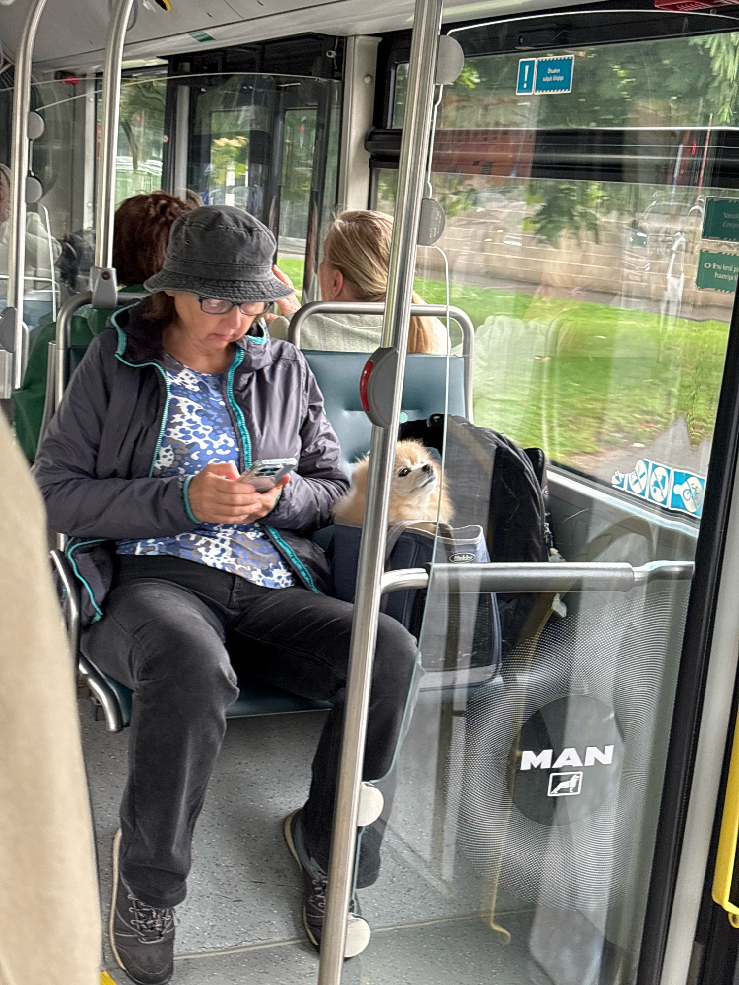 An interior view of a MAN bus in Tallinn, Estonia, shows passengers seated. A woman in a dark bucket hat and glasses is holding a smartphone, looking down at it. She is wearing a dark jacket with turquoise trim over a blue and white patterned shirt, and dark pants. To her right, a small, light-colored dog is looking up. The bus has blue seats and metal railings. Through the windows, greenery and a street can be seen. A "MAN" logo is visible on the window.