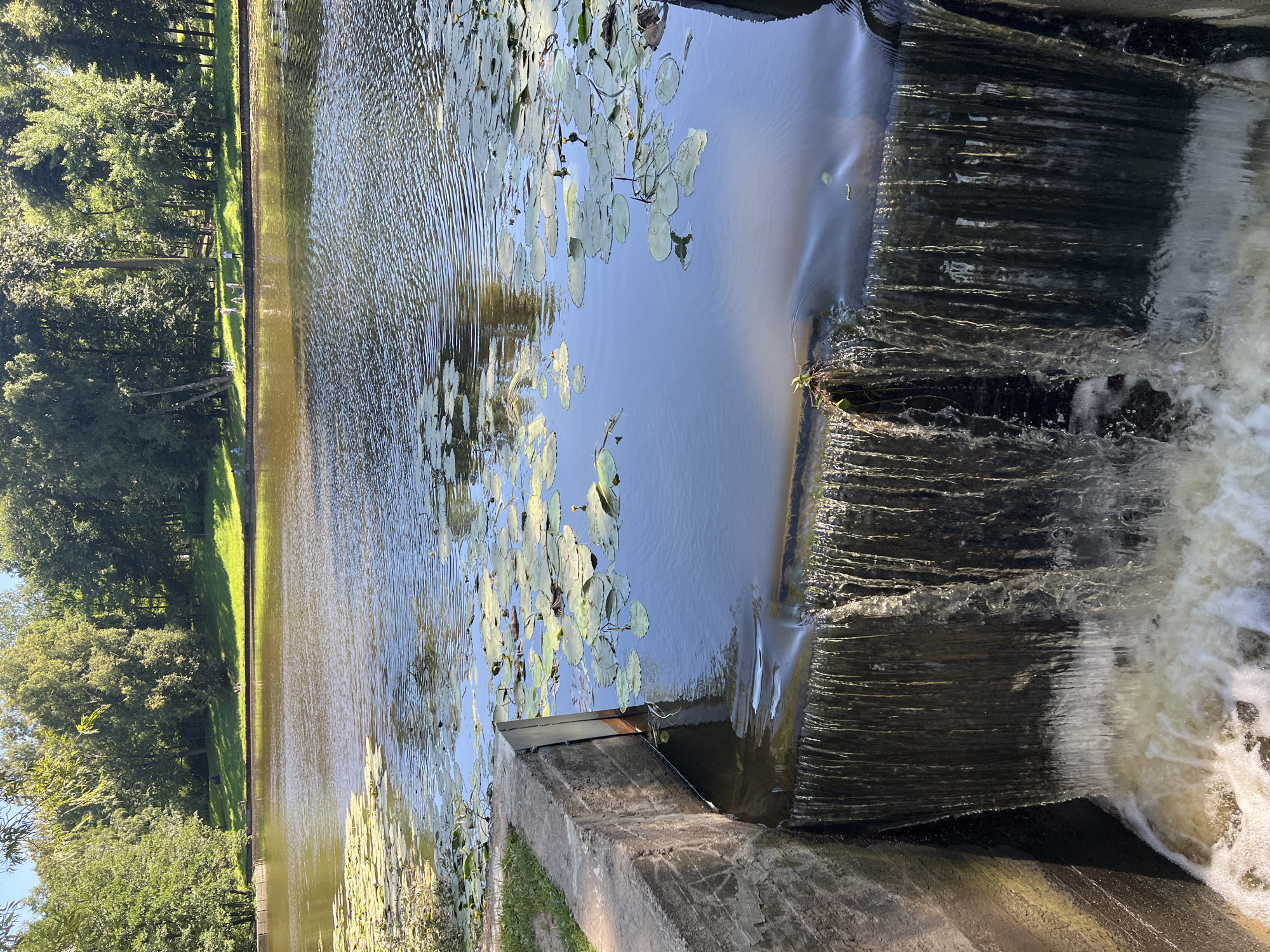 The image depicts a small, multi-tiered waterfall cascading over a concrete structure into a pool of water. Lily pads dot the surface of the larger body of water behind the waterfall. The surrounding environment features a lush green embankment with trees and grass, suggesting a park or natural setting. Several individuals are visible on the embankment in the background, engaged in leisurely activities such as walking and possibly fishing. The scene is bathed in natural sunlight, casting shadows and highlighting the textures of the water and vegetation. The presence of the waterfall and the well-maintained embankment suggests a man-made landscape feature within a natural environment, possibly in a city park. Based on the architectural style of the concrete structure and the overall landscape, this location is likely in one of Saint Petersburg's numerous parks, such as Yelagin Island or the Summer Garden, known for their water features and manicured grounds.