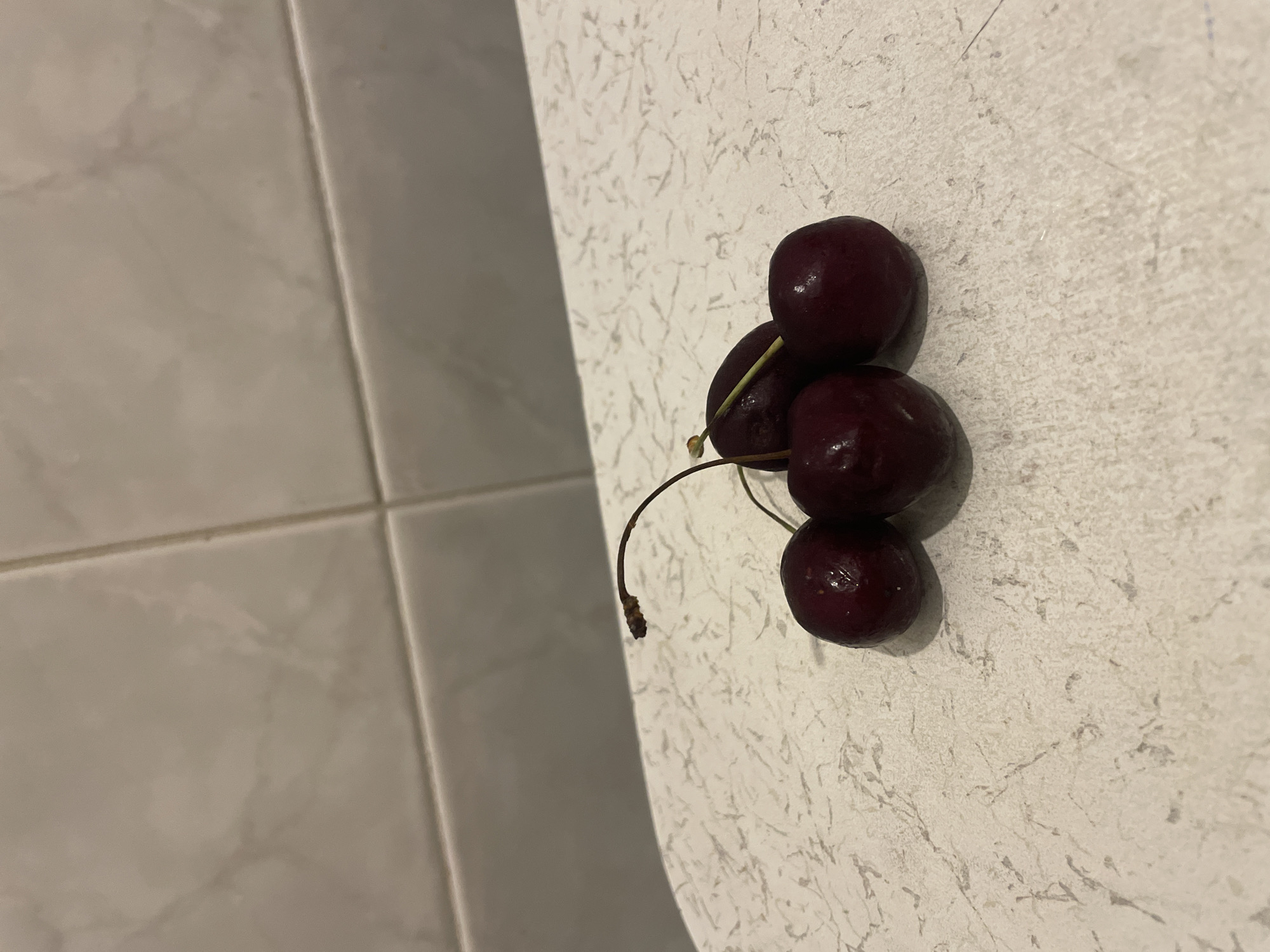 A close-up, eye-level shot displays five dark red cherries with stems resting on a speckled, light-colored countertop. The countertop has a subtle, abstract pattern reminiscent of marble or granite. Behind the cherries, a tiled wall with light beige square tiles is visible, running horizontally across the upper portion of the frame. The lighting is soft, casting a slight shadow to the right of the cherries. No people are present in the image, and no specific landmarks indicating Kadıköy, Turkey, are discernible. The scene is static and captures a simple arrangement of fruit.