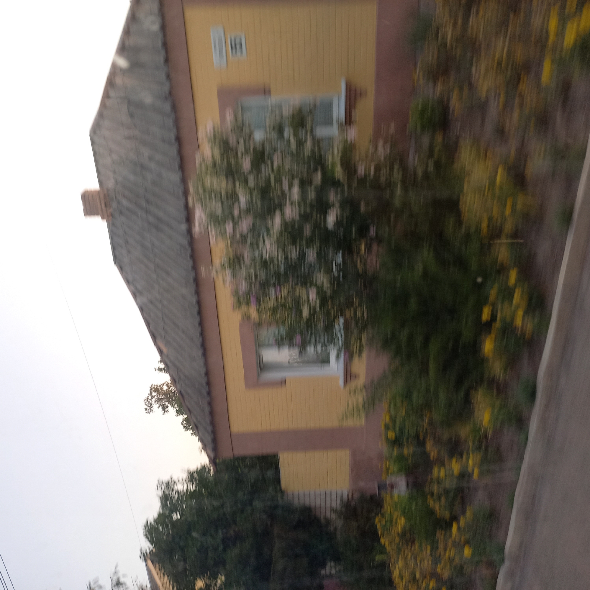 The image depicts a yellow brick house with a dark, sloped roof and a brick chimney. A large, leafy tree with pinkish-white blossoms is situated in front of the house, obscuring some of its features. There are also yellow flowers in the foreground, and a paved road runs along the bottom of the image. The scene appears to be a residential area, possibly on the outskirts of Kropyvnytskyi, Ukraine, given the architectural style and vegetation. The image is slightly blurred, suggesting it may have been taken from a moving vehicle. There are no people visible in the frame. Two rectangular white signs are affixed to the right side of the house.