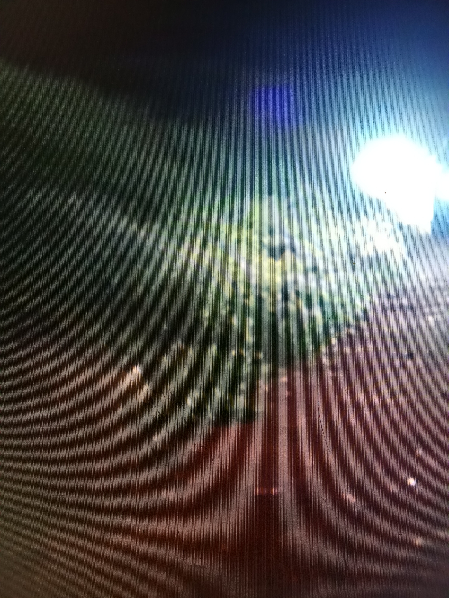 The image depicts a blurry outdoor scene at night, illuminated by artificial light sources. The foreground is a textured, reddish-brown surface, possibly dirt or pavement, with some lighter spots indicating reflections or scattered light. Behind this, a dense area of green foliage is visible, appearing somewhat out of focus. In the upper right portion of the image, a bright white light source is prominent, casting a strong glare and washing out details in its vicinity. To the left of this light, a bluish-purple haze or reflection is present. The overall impression is of a poorly lit, possibly unpaved area with vegetation, under the illumination of a vehicle's headlights or a similar strong light. The scene is likely in the vicinity of Рощин ауылдық округі, Kazakhstan, given the context.