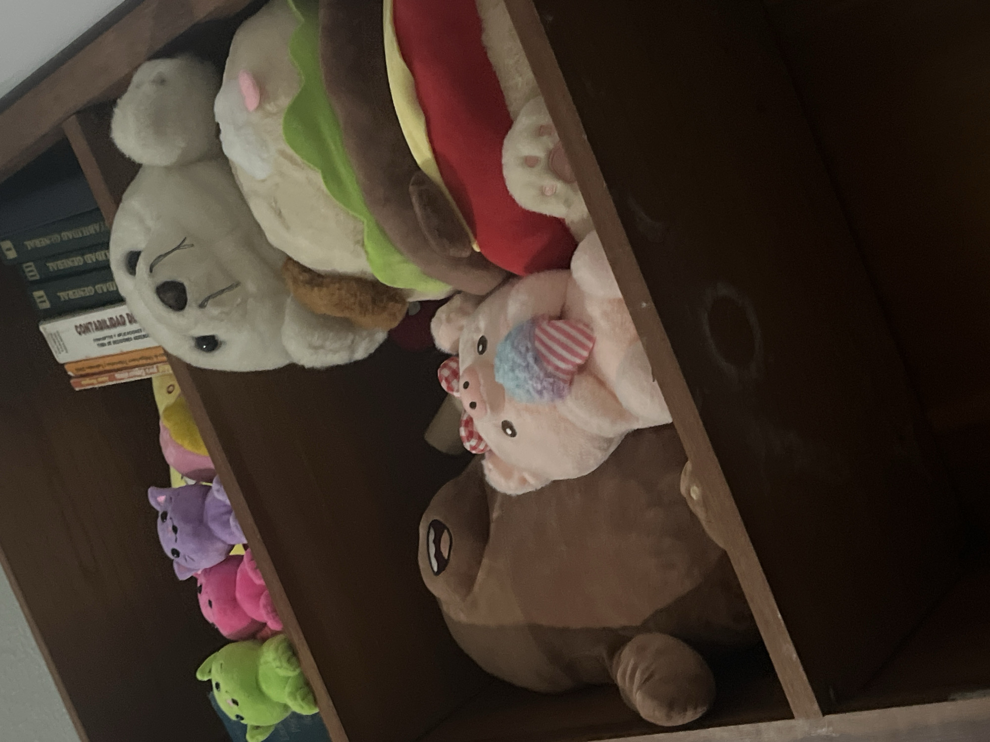 The image shows a close-up, low-angle view of a wooden shelf filled with plush toys. The shelf is dark brown and appears to be part of a larger piece of furniture, possibly a bookcase.
On the top shelf, from left to right, are several small plush toys: a lime green creature with pointed ears, two pink creatures, and a lavender cat. Behind these, a large white plush toy, resembling a seal or a bear, is visible, with a brown object partially obscuring its face. Further back, there are books with titles in Spanish, including "CONTABILIDAD DE..." and "AUDITORIA GENERAL".
On the shelf below, a large brown plush toy with an open mouth and white teeth dominates the left side of the frame. To its right, a pink pig plush toy wearing a bow and holding a colorful, striped cone-shaped object is positioned. The pig's snout has a small pink detail. Behind the pig, a large plush toy resembling a hot dog or sandwich with a red bun, yellow filling, green lettuce, and brown elements is partially visible. A white plush paw with pink toes is also visible peeking out from beneath this larger toy.
The lighting is dim, creating shadows and highlighting the textures of the plush toys and the wood. The overall impression is of a collection of toys stored on a shelf, possibly in a home or a shop.
Regarding the location: Santa Ana, Venezuela, is a city. However, this image alone does not provide any specific visual cues that would allow for its identification within Santa Ana or any particular city. The scene is generic to many indoor environments where shelves and toys might be found.