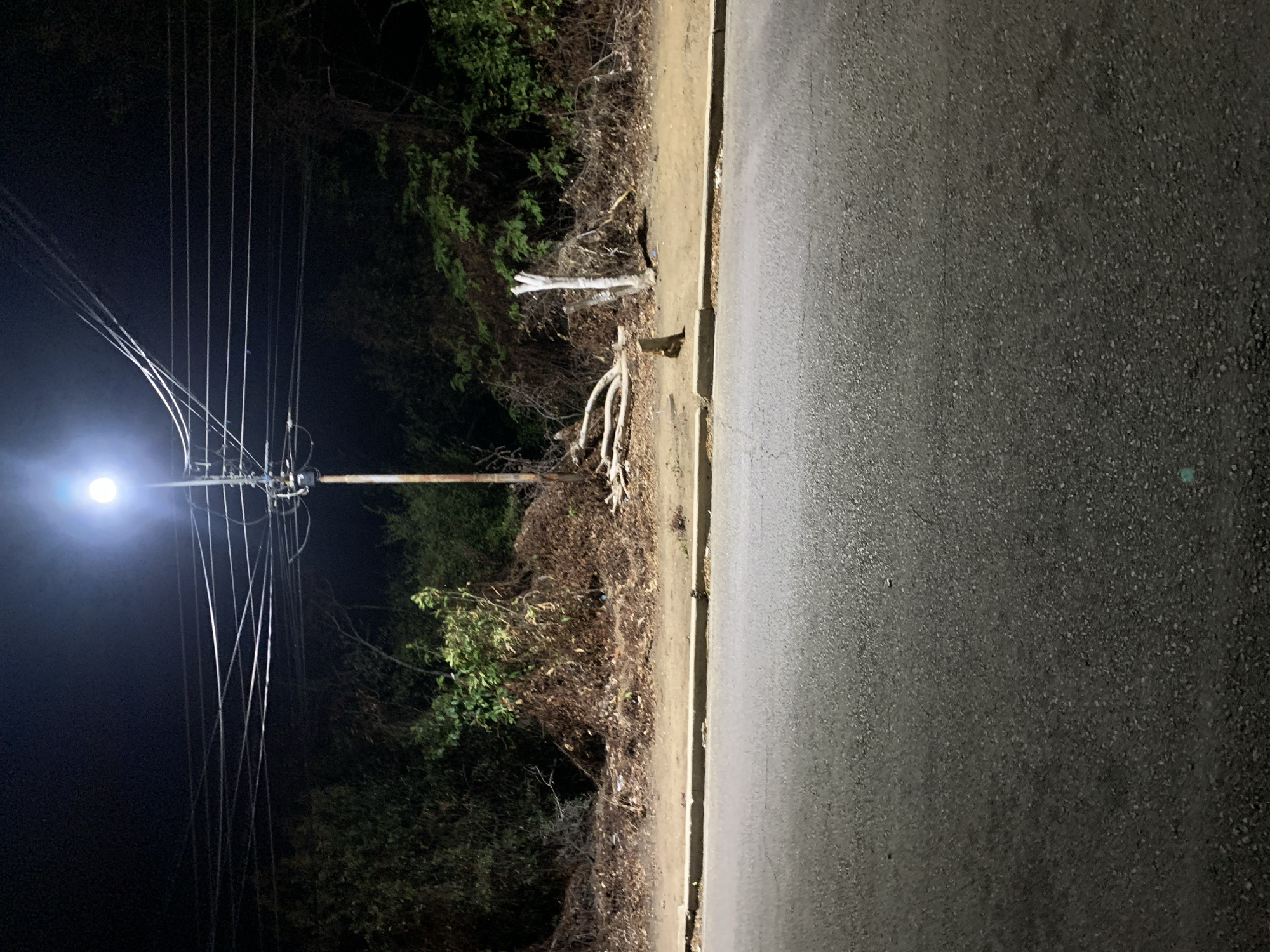 This vertical image depicts an outdoor night scene, likely in Santa Ana, Venezuela. A bright street light, positioned on the left side, illuminates the immediate surroundings and is mounted on a utility pole. Numerous utility wires, appearing thin and some crossing over each other, extend from the pole across the dark night sky, partially visible against the dense, dark foliage in the background.
Below the street light and extending towards the right, a roadside verge is visible, characterized by dry, light-colored branches and dense, mostly brown foliage with patches of green leaves. The ground of the verge appears to be dirt or dry earth. A clear, light-colored curb separates this verge from an asphalt road, which occupies the right side of the frame. The road surface is dark grey and granular, showing no specific markings.
No people or vehicles are visible, and there is no explicit activity taking place. The scene suggests a quiet, possibly semi-rural or overgrown urban area at night, under clear weather conditions. No text is visible in the image.