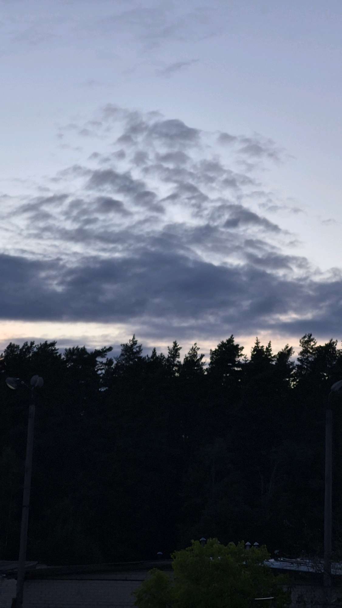 This is a vertical, medium shot of the sky above a dark silhouette of trees in Krauja, Latvia. The sky is a pale blue at the top, transitioning to darker blues and grays with textured clouds in the middle. A thin band of light pink and orange is visible at the horizon, just above the tree line. The trees are densely packed and appear to be pine trees, with their dark, pointed tops forming a jagged silhouette against the twilight sky. Two streetlights are visible in the foreground, one on the left and another on the right edge of the frame. The one on the left is a tall pole with two lamps. The one on the right is partially visible. In the lower portion of the image, the dark shapes of buildings and some greenery are visible. The overall atmosphere is calm and serene, suggesting either dawn or dusk.