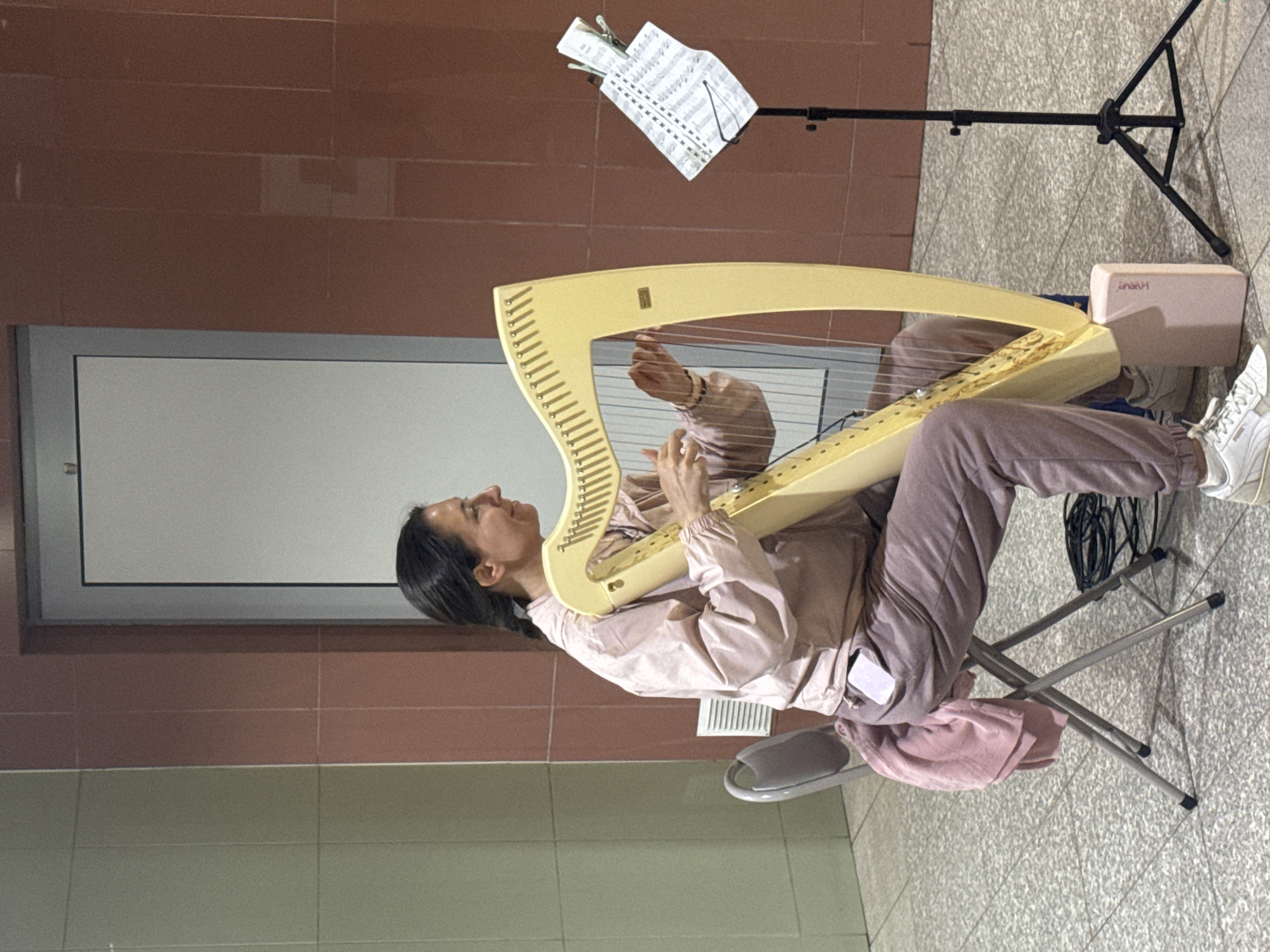 The photograph depicts a woman playing a harp in what appears to be an indoor public space. The woman is seated on a folding chair and is dressed in pink sweats and a matching light pink jacket. The harp is a light beige color. Sheet music is placed on a stand to the right of the harp. The background includes a wall with a color-blocked design of grey, brown, and pink tiles, and a large grey door. The exact location in Sofia, Bulgaria cannot be determined from the image.