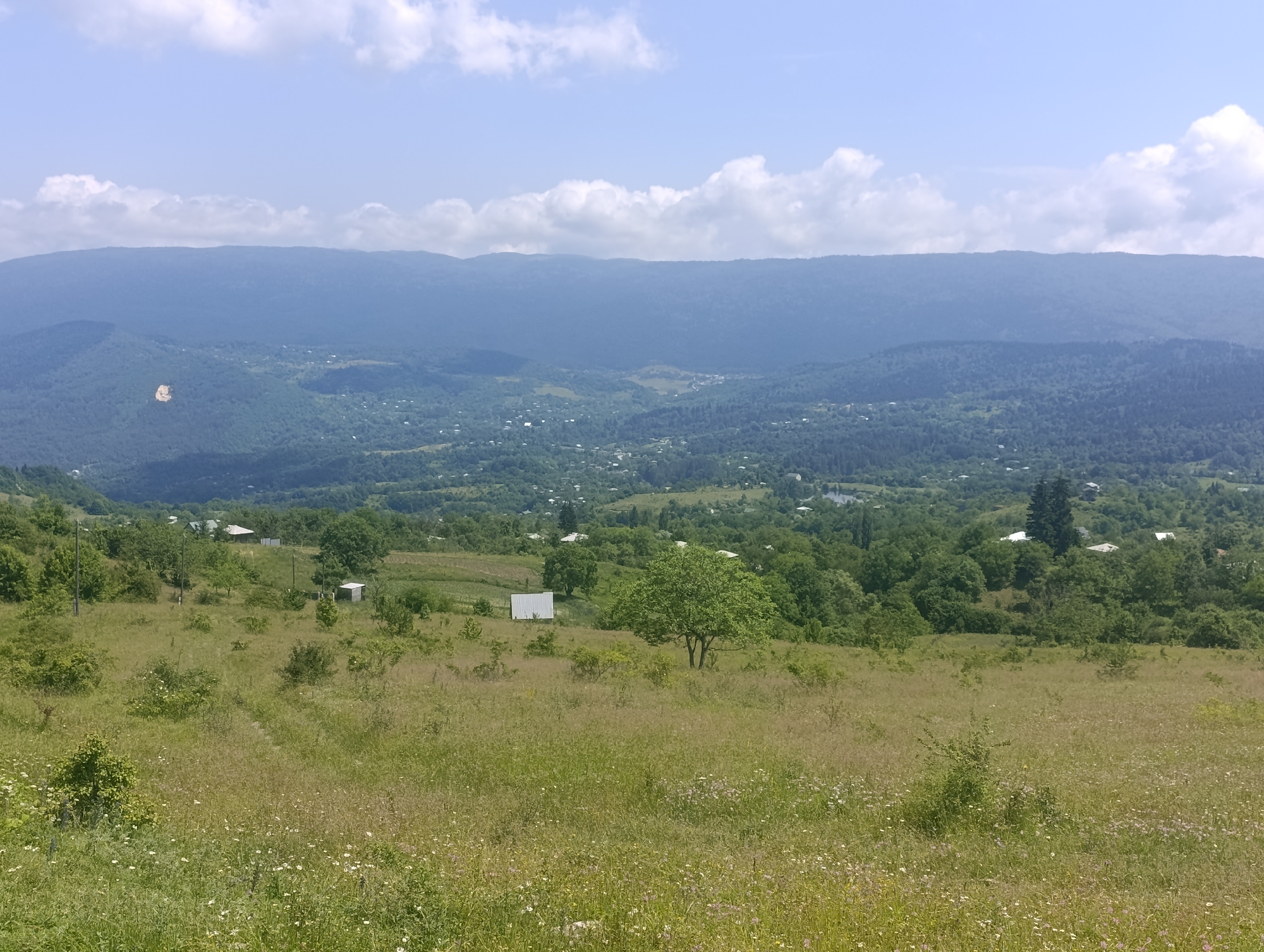 The image depicts a panoramic view of a verdant, hilly landscape under a partly cloudy sky. In the foreground, a field of tall grass and wildflowers stretches across the frame, with a faint track or path visible traversing it. Scattered bushes and small trees dot this grassy expanse.
In the mid-ground, a collection of buildings is visible, including what appears to be a white shed or small structure, and several houses with white roofs. These structures are nestled amongst trees and cultivated fields. A single, mature tree with lush green foliage stands prominently in this area. Power lines and poles are also present, suggesting a rural or semi-rural settlement.
The background is dominated by rolling hills covered in dense forestation, with the distant mountains forming a hazy, blue silhouette against the sky. The sky itself is a pale blue, punctuated by white, puffy clouds. The overall impression is one of a peaceful, natural environment with signs of human habitation. The specific location within Nikortsminda, Georgia, is not identifiable from the image itself, but the scenery is consistent with the mountainous and forested terrain of the region. There are no people or animals visible in the image.