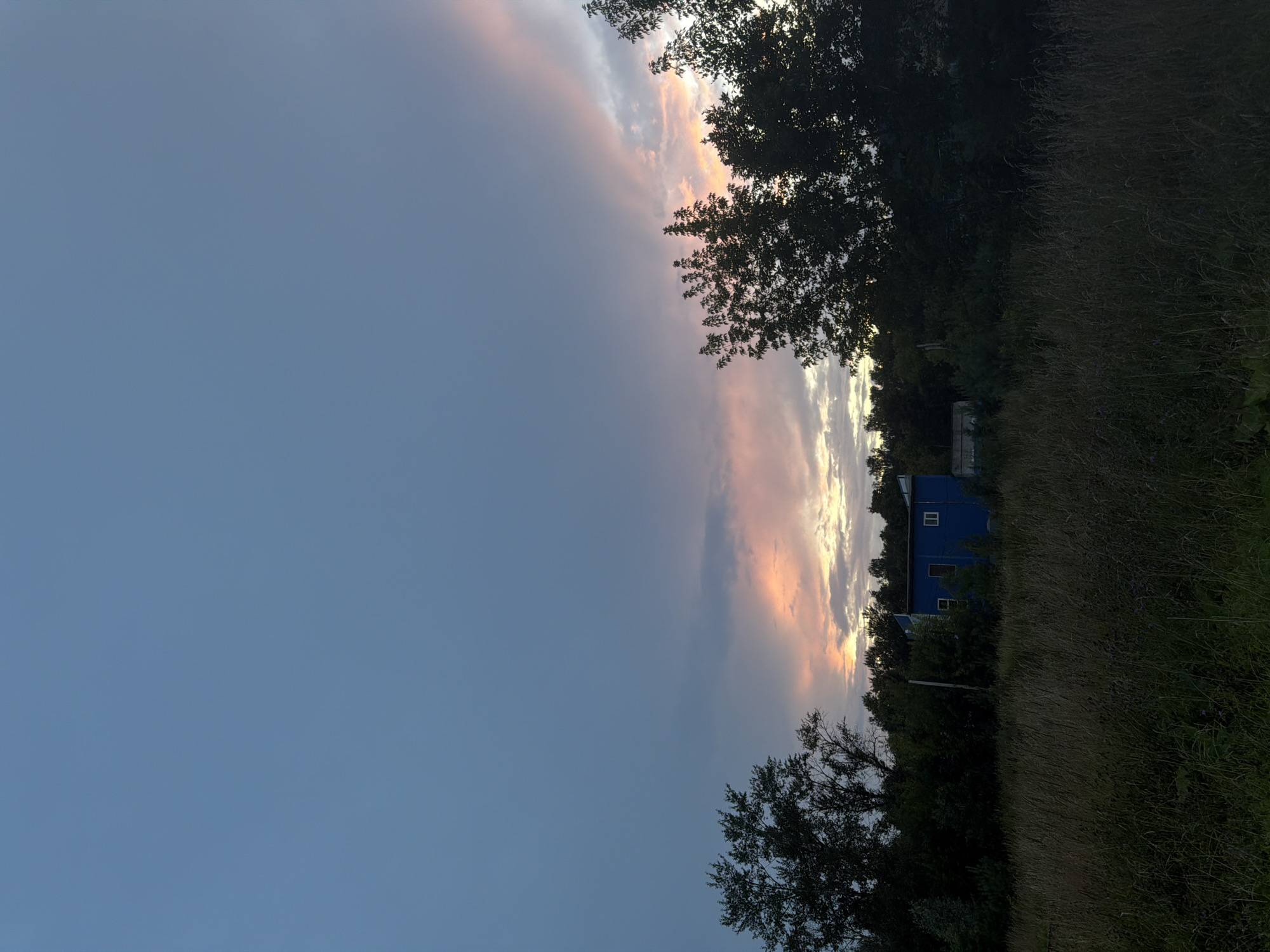 A rural scene unfolds under a dusky sky. The sky transitions from a deep, muted blue at the top to softer hues of pink and orange near the horizon, indicating either dawn or dusk. A dark, silhouetted line of trees spans the middle ground, with taller trees on the left and right framing the scene. In the center, nestled within the trees, is a small, bright blue building with white-framed windows and a dark door. In the foreground, tall, dry grass stretches across the lower portion of the image, its dark tones suggesting it is either evening or the grass itself is a dark shade. The overall atmosphere is tranquil and somewhat remote, hinting at a natural landscape with a human-made structure.