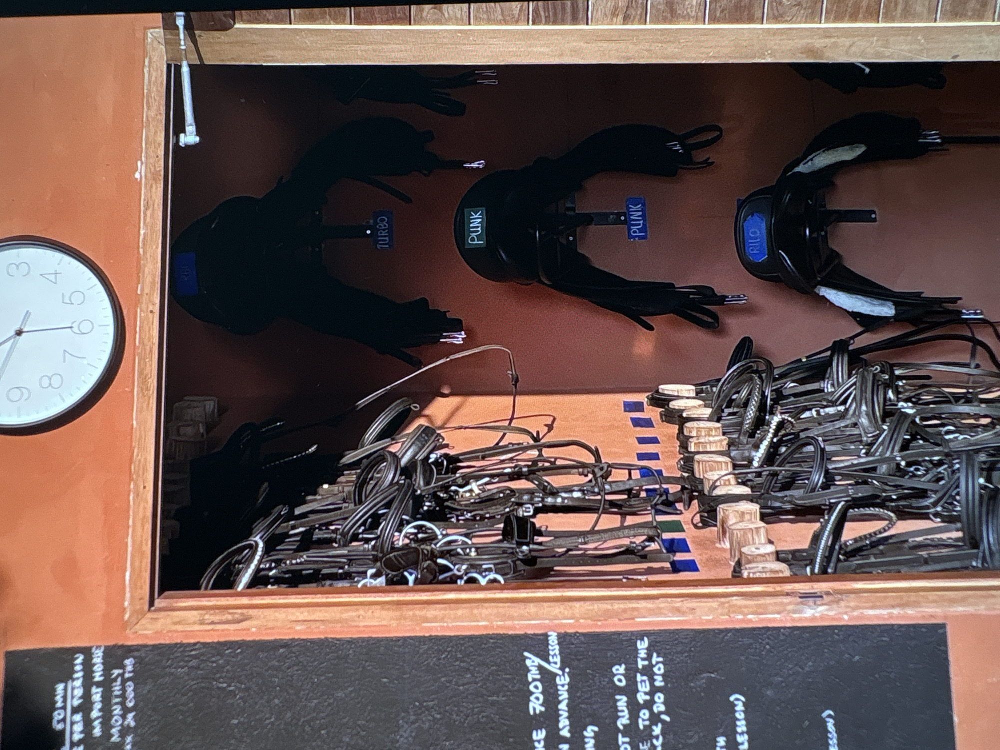 This media file depicts an organized tack room, likely within a riding school or stable located in Choeng Thale, Thailand. The scene primarily features various pieces of equestrian equipment neatly stored.
In the upper portion of the frame, several dark, structured pieces of tack, resembling breastplates or harness parts, are hung against a reddish-brown wall. These items are individually identified with labels such as "TURBO," "PUNK" (appearing twice), and "RILO," suggesting they are designated for specific horses or purposes.
Below these, a substantial collection of black leather bridles, reins, and other strap-based horse tack is meticulously arranged within a wooden compartment. Many pieces are coiled or draped over wooden pegs and dividers, indicating a systematic approach to storage and quick access.
On the left side of the image, a white wall clock with a black rim and hands is visible on an orange wall. The clock's hands suggest a time of approximately 8:05 or 8:35.
At the bottom, a black sign, likely a chalkboard, displays handwritten white text. This text appears to outline rules or pricing details for the facility. Visible phrases include "PER PERSON," "IMPORT HORSE," "MONTHLY," "24 000 THB," "700 THB," "ADVANCE LESSON," "DO NOT RUN OR," and "DO NOT PET THE BACK, DO NOT." The recurring mention of "THB" (Thai Baht) firmly establishes the location in Thailand. The image conveys a sense of preparedness and strict organization in a professional equestrian environment.