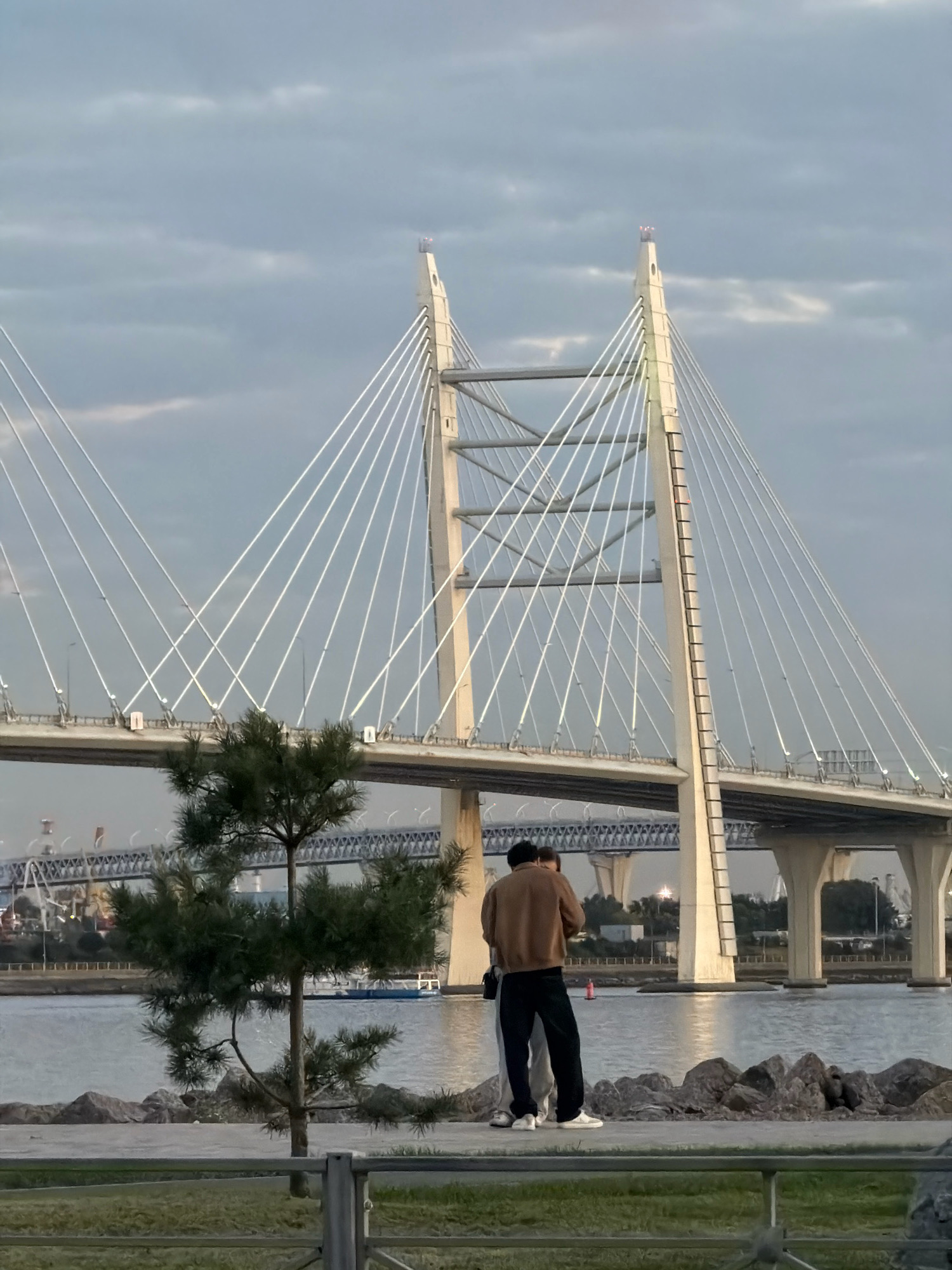 The image depicts a view of the Western High-Speed Diameter (WHSD) in Saint Petersburg, Russia, likely near the Neva River. In the foreground, a young couple stands with their backs to the camera, appearing to be taking a photograph. The man is wearing a brown jacket and dark pants, while the woman is wearing a light-colored outfit. A small pine tree is situated to their left.
The dominant feature of the background is the WHSD, a large cable-stayed bridge with towering white pylons. The bridge spans across the water, with several lanes of traffic visible. Other bridges and structures, possibly industrial, are visible in the distance under the WHSD. The sky is overcast with clouds, and the water reflects the muted light. The scene appears to be during either early morning or late afternoon given the soft lighting. The overall impression is one of a public recreational area with a backdrop of impressive modern infrastructure.