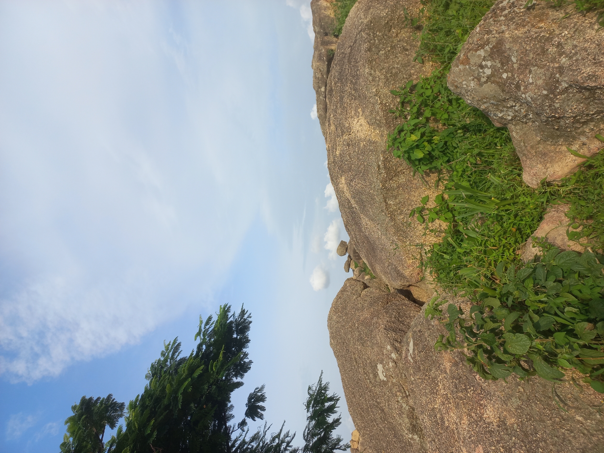 The image depicts a natural landscape dominated by large, weathered rocks and lush green vegetation under a partly cloudy sky. In the upper left quadrant, the dark green foliage of a tree hangs over the scene, its leaves creating a textured canopy. The rocks are varied in size and shape, with some appearing massive and rounded, while others are smaller and more angular. They have a rough, mottled texture, suggesting they are composed of granite or a similar type of igneous rock. Patches of green grass and weeds grow between and around the rocks, indicating a somewhat untamed environment. The sky above is a pale blue, interspersed with scattered white clouds, some wispy and others more solid. The lighting suggests it is daytime, possibly late morning or early afternoon, with soft sunlight illuminating the landscape. There are no people or man-made structures visible in the image, emphasizing the natural and remote quality of the location.