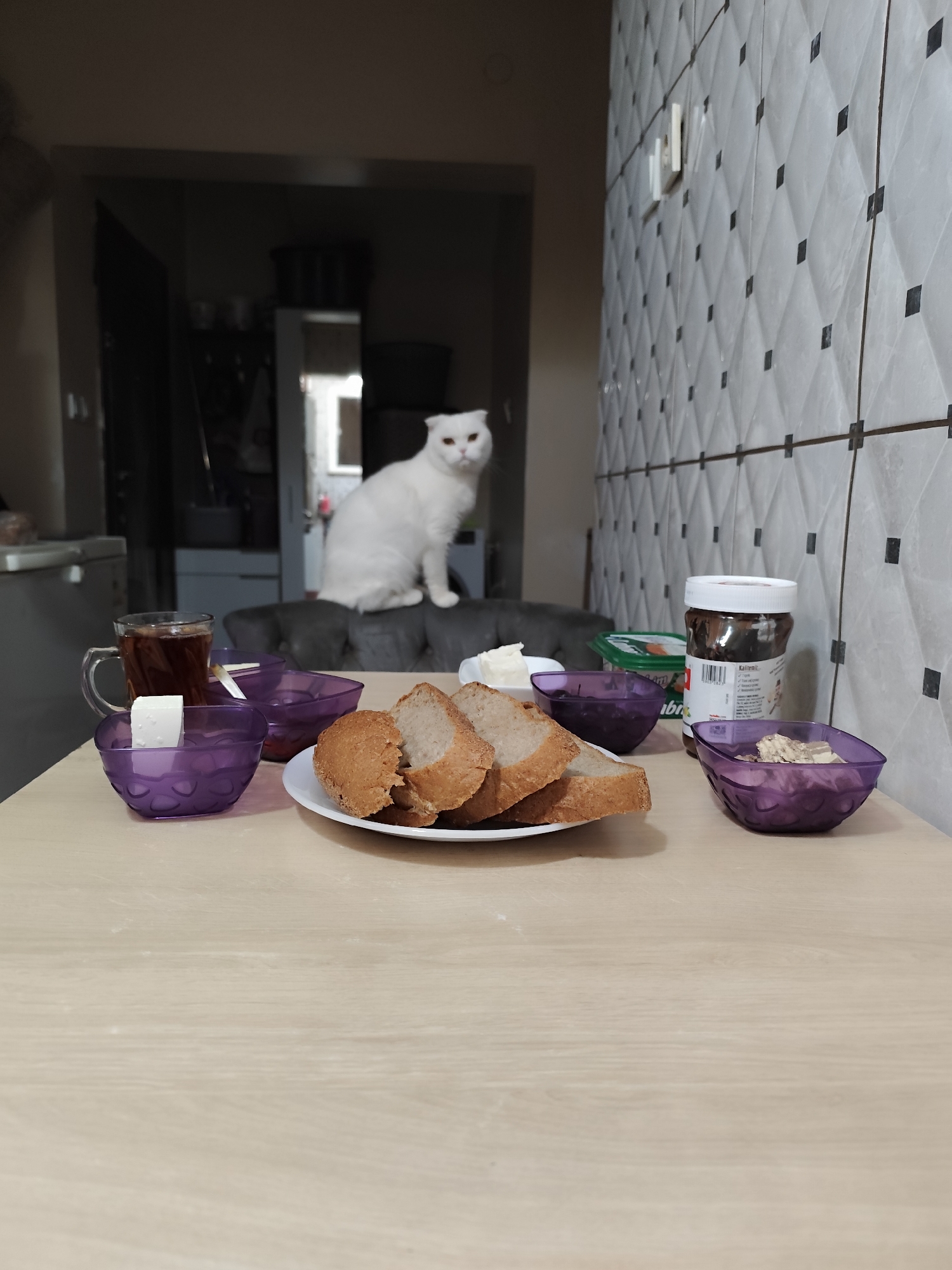 The image presents a breakfast table in an indoor setting, likely a home in Sarıyer, Turkey, based on the "kahvaltılık" labeled jar of hazelnut spread. The table, light beige in color, is laden with various breakfast items.
A white plate holds several slices of bread. There are four small, purple bowls. One bowl contains a cube of white cheese, another has a smaller amount of white cheese, and a third holds what appears to be a mixture of food items. A glass mug filled with a dark liquid is also visible. Behind the bowls and bread, a jar of hazelnut spread is partially visible, next to a green container with the letters "abr" on it.
In the background, a white cat sits atop a dark gray upholstered chair. A glimpse of a kitchen or pantry area is seen through an open doorway.
The wall to the right is tiled with white tiles featuring a diamond pattern with small dark squares at the intersections.