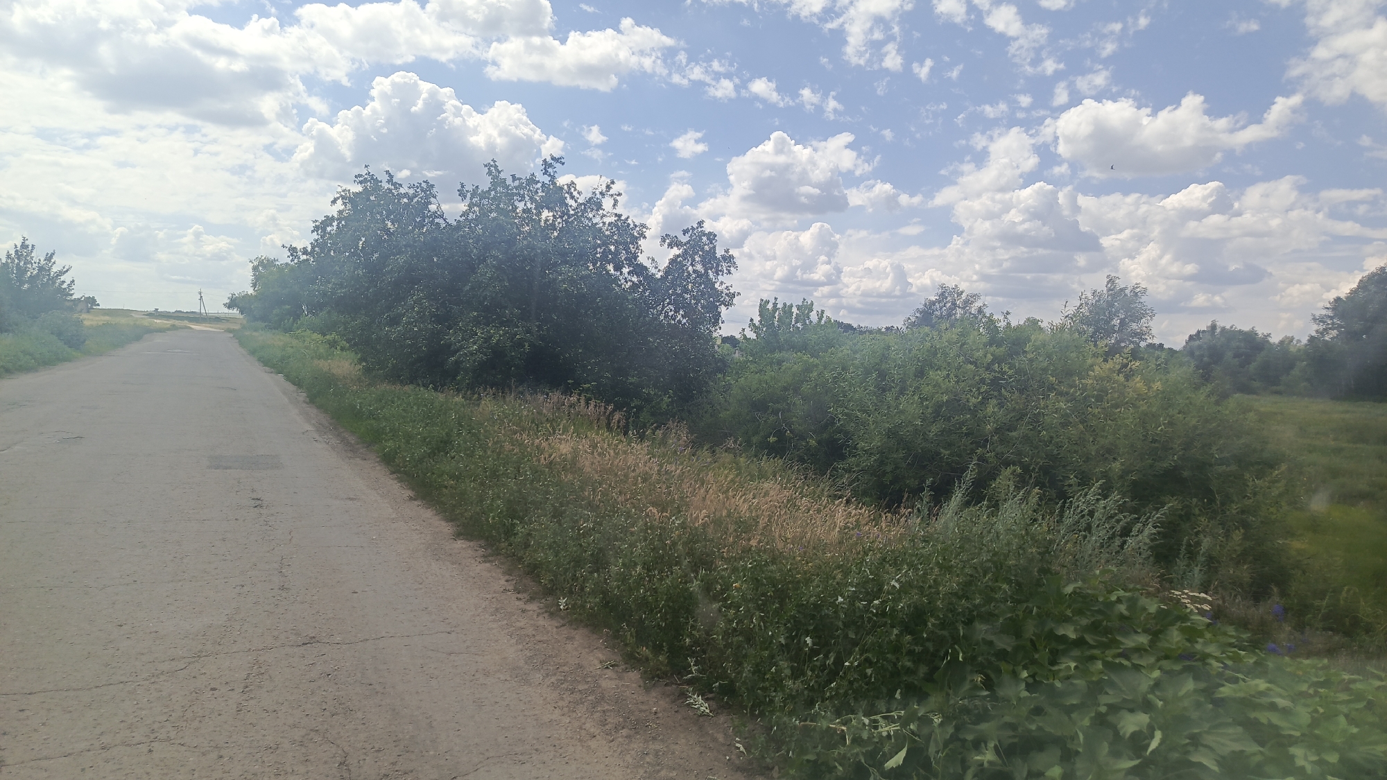 This is an eye-level, medium shot of a rural road in Rybushka, Russia, on a partly cloudy day. The road, made of cracked asphalt, extends into the distance, curving to the left. On the left side of the road, there is a grassy verge. The right side of the road is bordered by a dense line of greenery, including tall grasses and bushes, with a field of taller vegetation beyond. In the background, a line of trees and bushes runs horizontally across the horizon. The sky is a bright blue, with scattered white cumulus clouds. The overall impression is one of a rural, somewhat unkempt landscape.