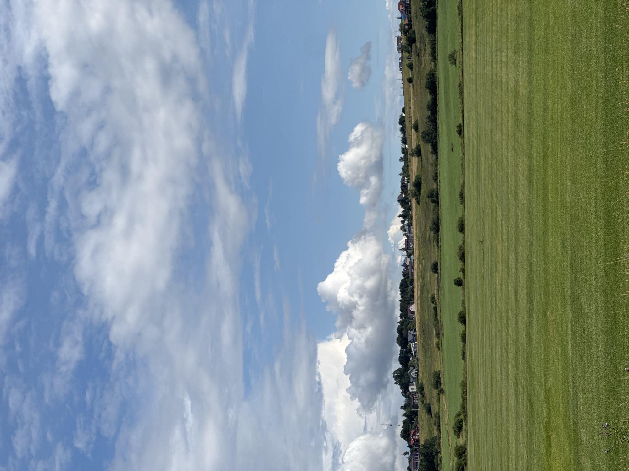 This is a landscape photograph taken in Kempelevo, Russia, during the daytime under a partly cloudy sky. The image is oriented vertically.
The scene depicts a rural or suburban setting with a strong contrast between the sky and the land. The left two-thirds of the frame is dominated by a bright blue sky filled with a variety of clouds, ranging from wispy cirrus clouds to larger, more defined cumulus formations.
The right third of the image is a neatly manicured green field, likely a mowed lawn or pasture, with visible striations from mowing. This field slopes gently upwards from the foreground. Along the edge of this field, separating it from the sky, is a line of trees and scattered houses with red roofs, suggesting a residential area bordering the open land. The houses are situated on a slight incline. A few individual trees are interspersed within the field and along the treeline.
The overall impression is one of a peaceful, summery day in the countryside. The weather appears fair, with sunshine interspersed with clouds. There is no visible text in the image.
