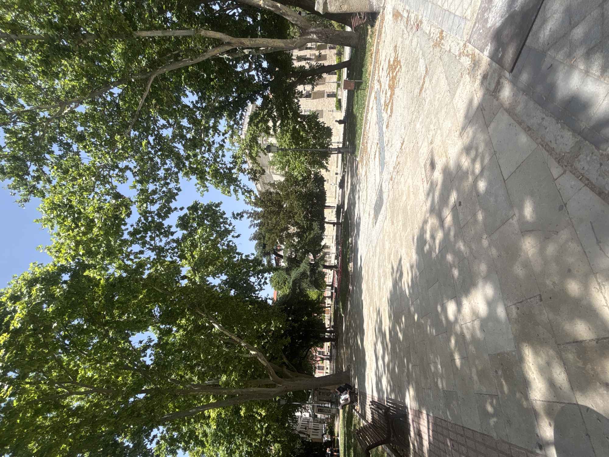 This media file shows a sun-dappled park scene in Valladolid, Spain. The image is oriented vertically, with the ground occupying the right side and the trees and sky on the left. The ground is paved with large, light-colored stone tiles, interspersed with some darker tiles and patches of dry dirt or sand. Tree shadows are cast across the paving stones, indicating a sunny day.
In the foreground on the left, a large tree with a thick trunk and numerous branches dominates the frame, its green leaves rustling against a clear blue sky. Further into the scene, more trees line a grassy area. Beyond the trees, a building with multiple windows and a light-colored facade is visible, suggesting it might be a historical structure or residential building.
Several park benches are present. In the middle ground, a person is sitting on a bench under the shade of a tree, appearing to be resting or observing the surroundings. Another bench is visible in the foreground on the right, made of dark wood. The scene evokes a sense of tranquility and a warm, pleasant day, likely late morning or early afternoon given the angle of the sunlight and the length of the shadows. The overall atmosphere is peaceful, inviting, and typical of a European city park during good weather. No text is discernible in the image.