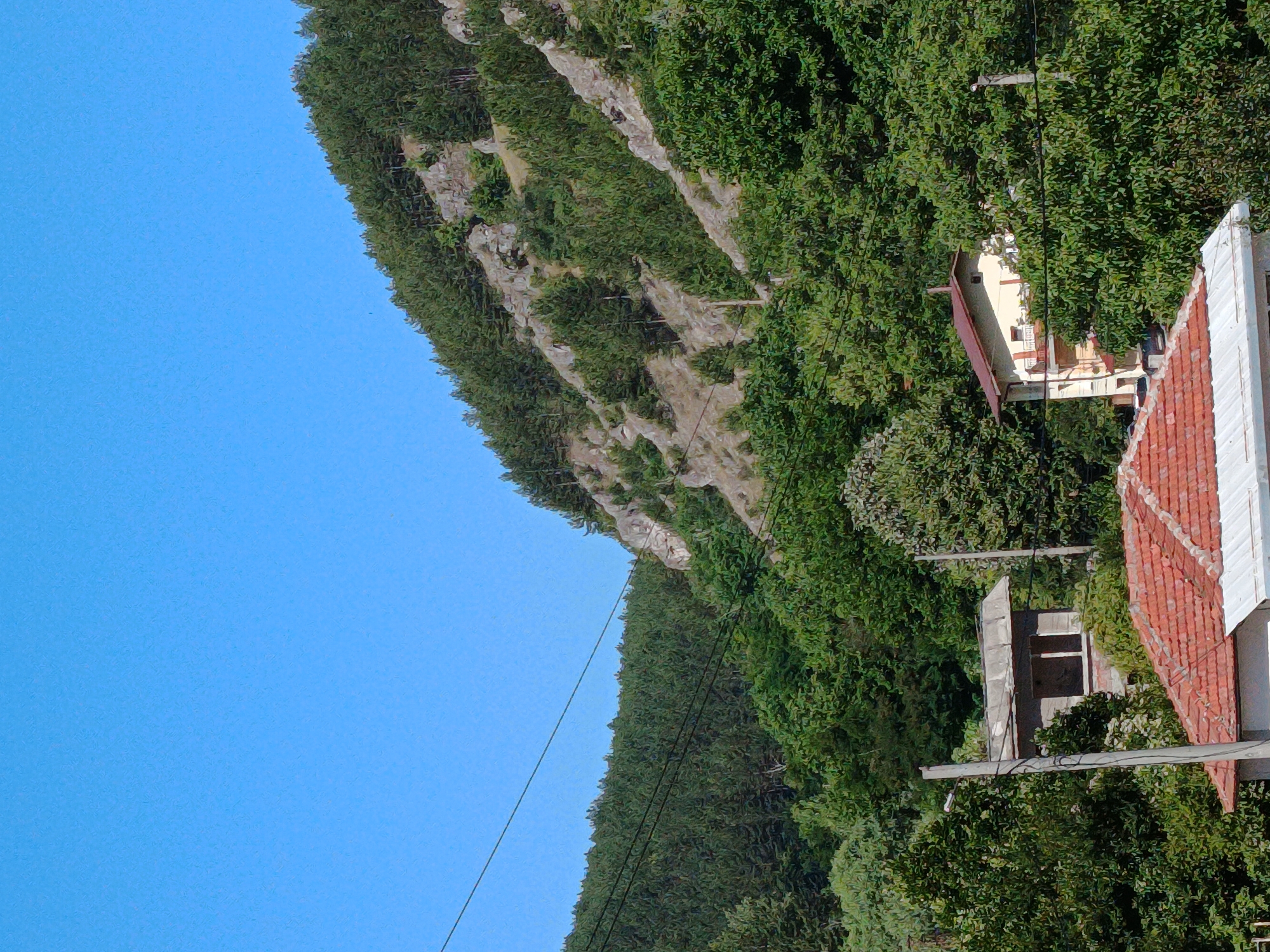 The image depicts a residential area nestled at the base of a heavily forested mountain in Kralev Dol, Bulgaria. The sky is a clear, bright blue. The mountain slopes are covered with dense green coniferous trees, interspersed with rocky outcrops. In the foreground, a cluster of buildings with red-tiled roofs are visible, partially obscured by lush green foliage. One building, with a light-colored facade and a brown roof, appears to be a multi-story house with balconies. Another structure, smaller and with a flat roof, is also present. Power lines traverse the scene, adding to the sense of habitation within the natural landscape. The overall impression is one of a rural village integrated with its mountainous surroundings.