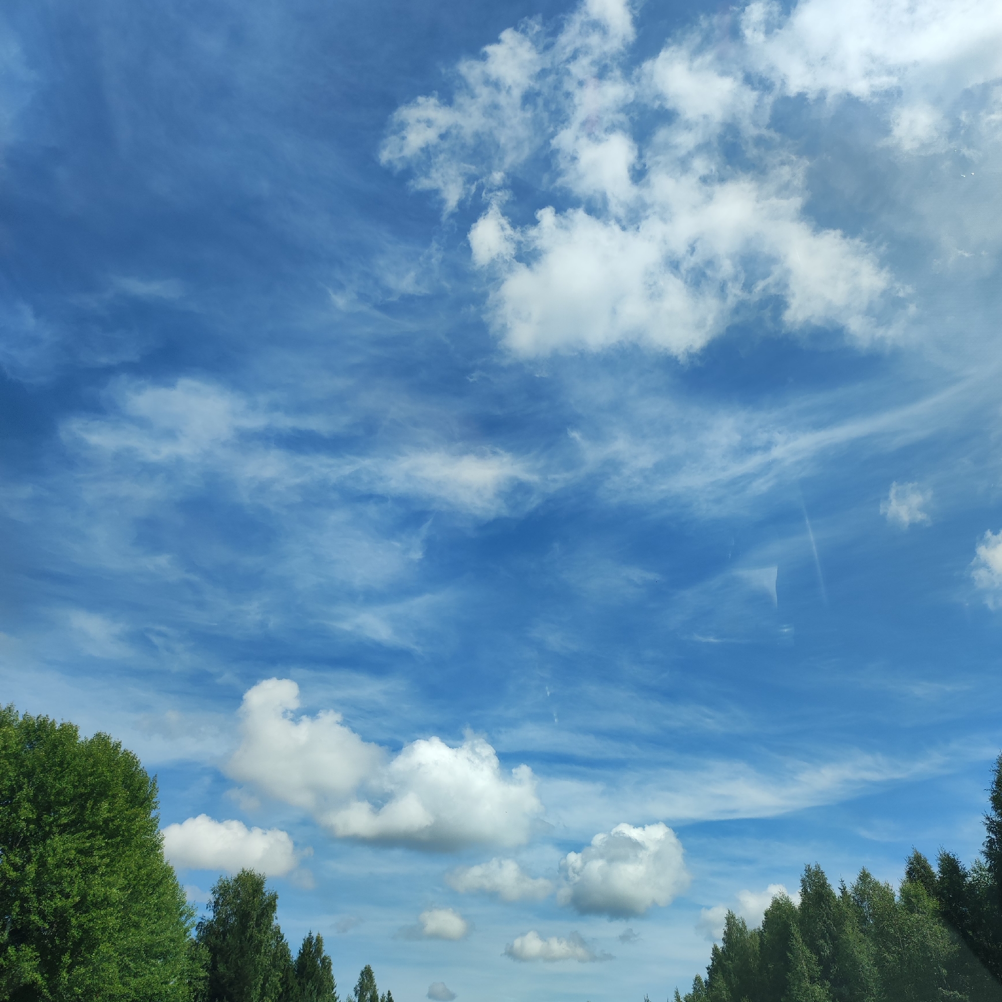 The image shows a bright blue sky with scattered white clouds. Thin, wispy cirrus clouds stretch across the upper portion of the sky, while larger, cumulus clouds are present lower down. A line of green trees forms the bottom edge of the image, with the tallest trees on the left and a more dense, varied line of trees receding to the right. The scene is an outdoor landscape. The image is identified as being located in the city of Ustnovo, Russia. There are no people, animals, or specific actions depicted in the image. The environment is natural, consisting of sky and trees.