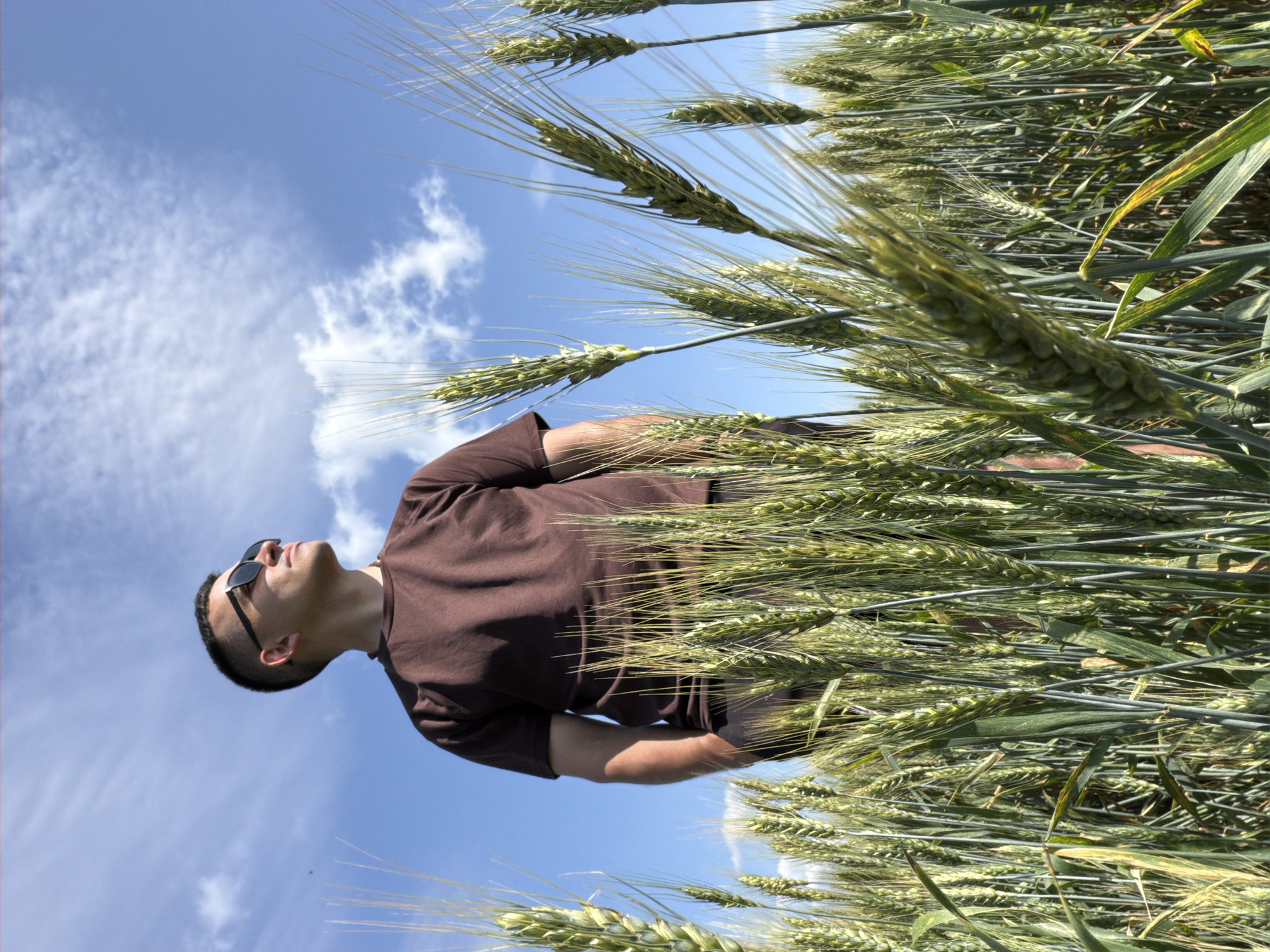 A man stands in a field of wheat, looking up at the sky. He is wearing a brown t-shirt and dark shorts, and sunglasses. The wheat is green and tall, reaching up to his chest. The sky is blue with a few white clouds. The image appears to have been taken in Podshivalovo, Russia.