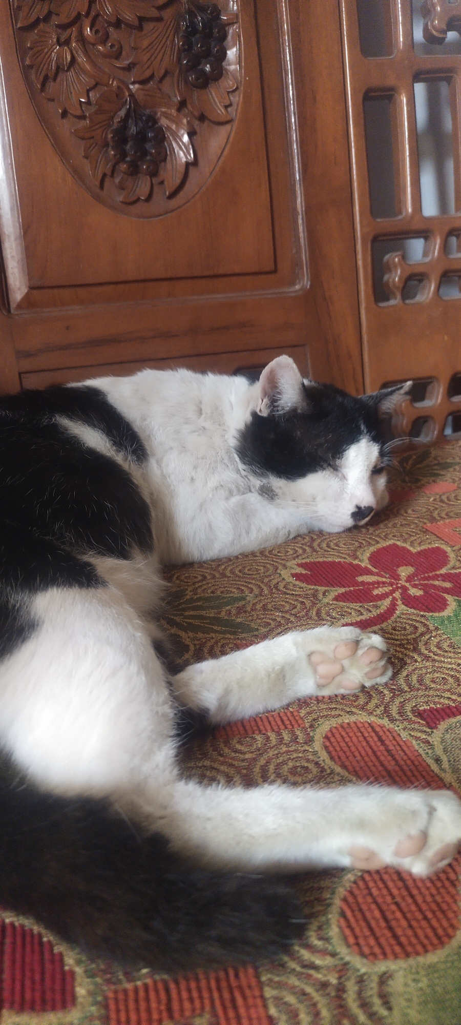 A black and white cat is sleeping on a patterned cushion. The cat is lying on its side with its eyes closed. Its front paws are tucked underneath its body, and its hind legs are extended. The cushion has a red and gold floral pattern. The cat appears to be in a domestic setting, with a wooden chair in the background. The image was taken in Ambulu, Indonesia.